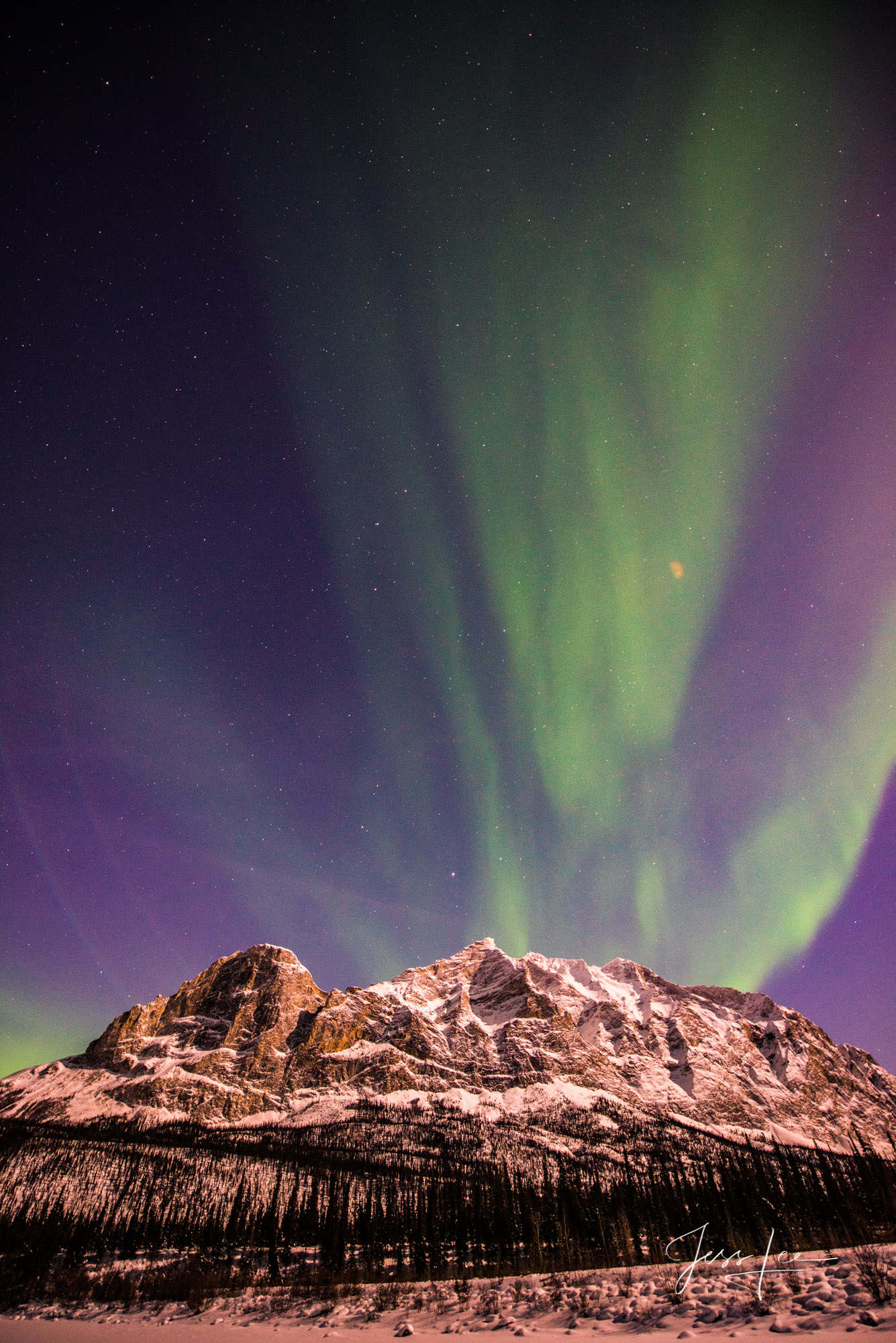 Aurora Borealis in Alaska under a sky full of stars. 
