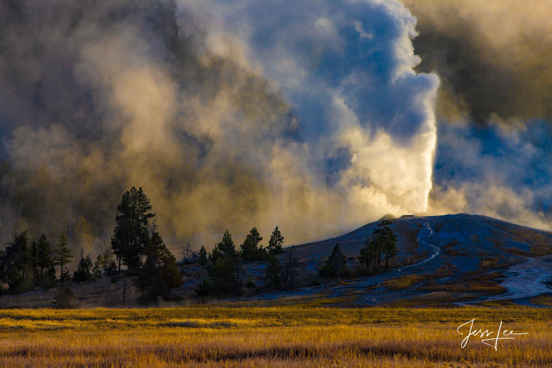 Yellowstone Half Day Photo Tour