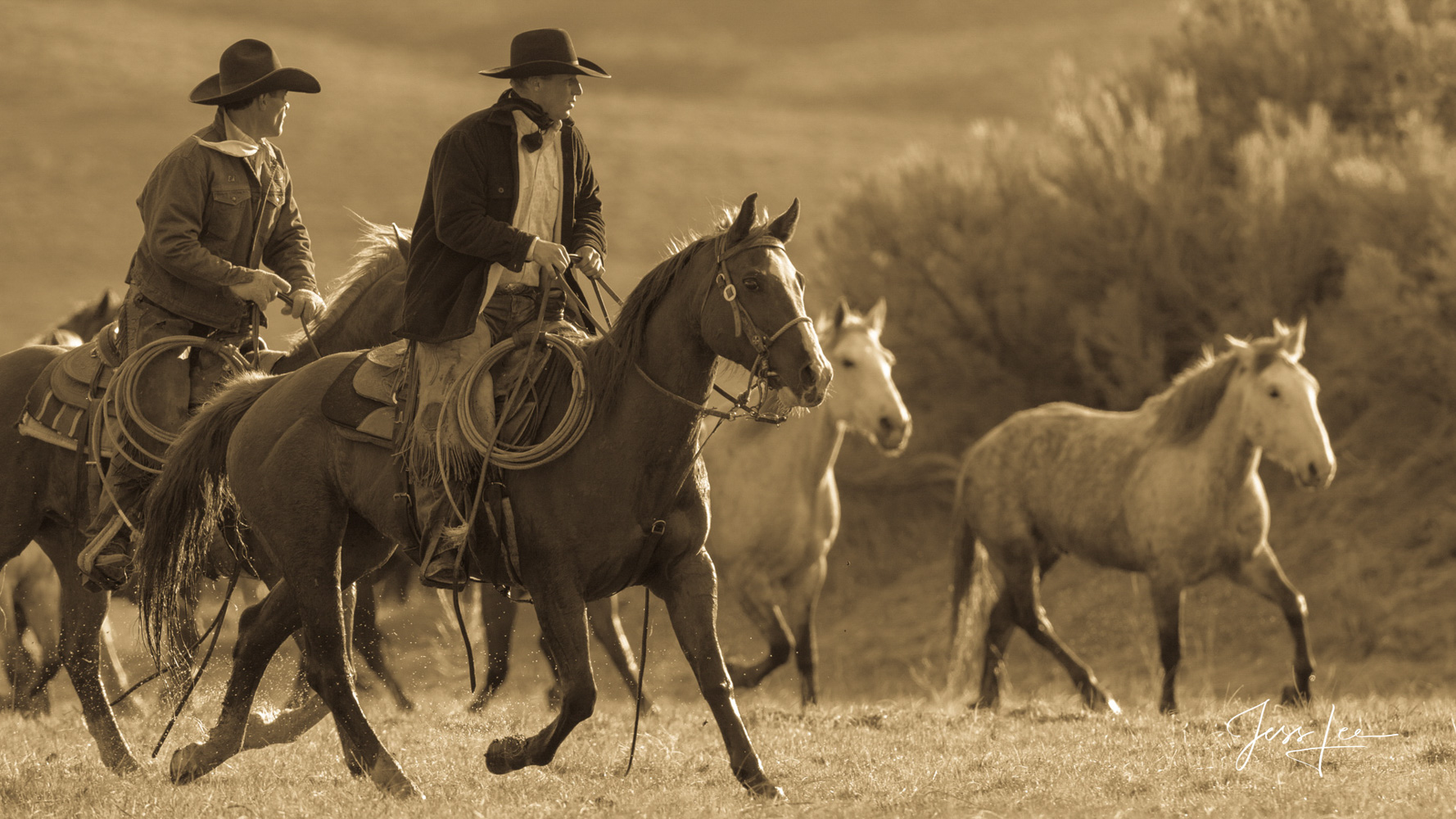 Fine Art Limited Edition Photography of Cowboys, Horses and life in the West. Colorado cowboys riding the morning roundup. This...