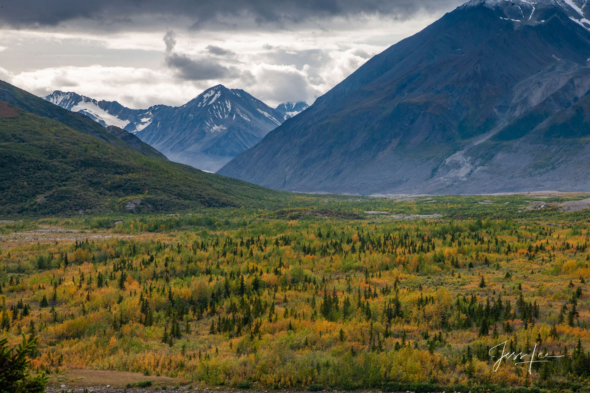 Evergreens sprawl out over Alaska's Brooks Range.  Fall brings new color to the landscape. 