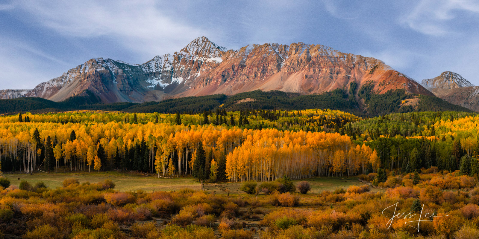 Mount Wilson with snow and autumn Aspen Trees Fine Art Print