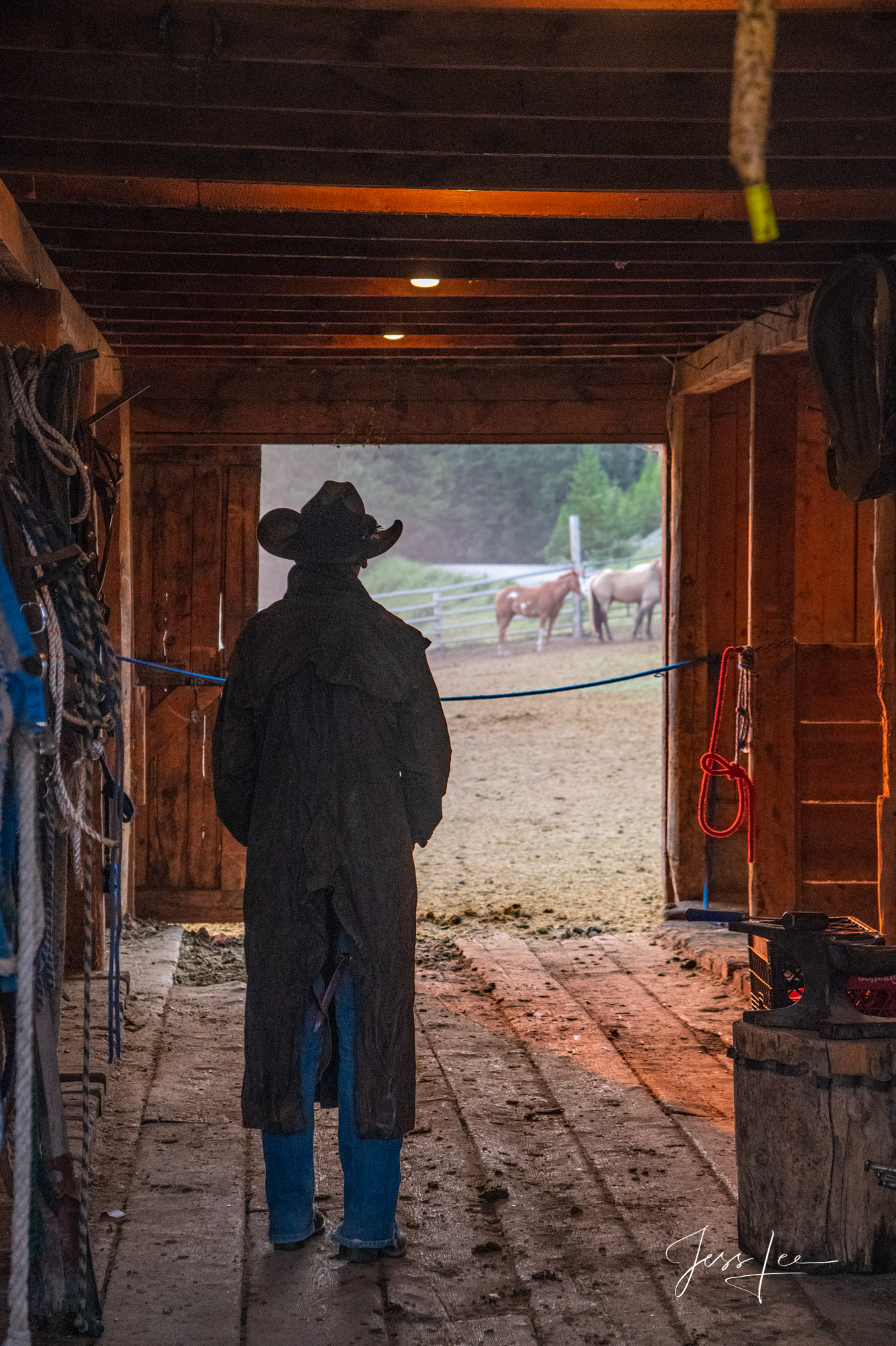 Fine Art Limited Edition Photography of Cowboys, Horses and life in the West. Young cowboy stops to think about what is coming...