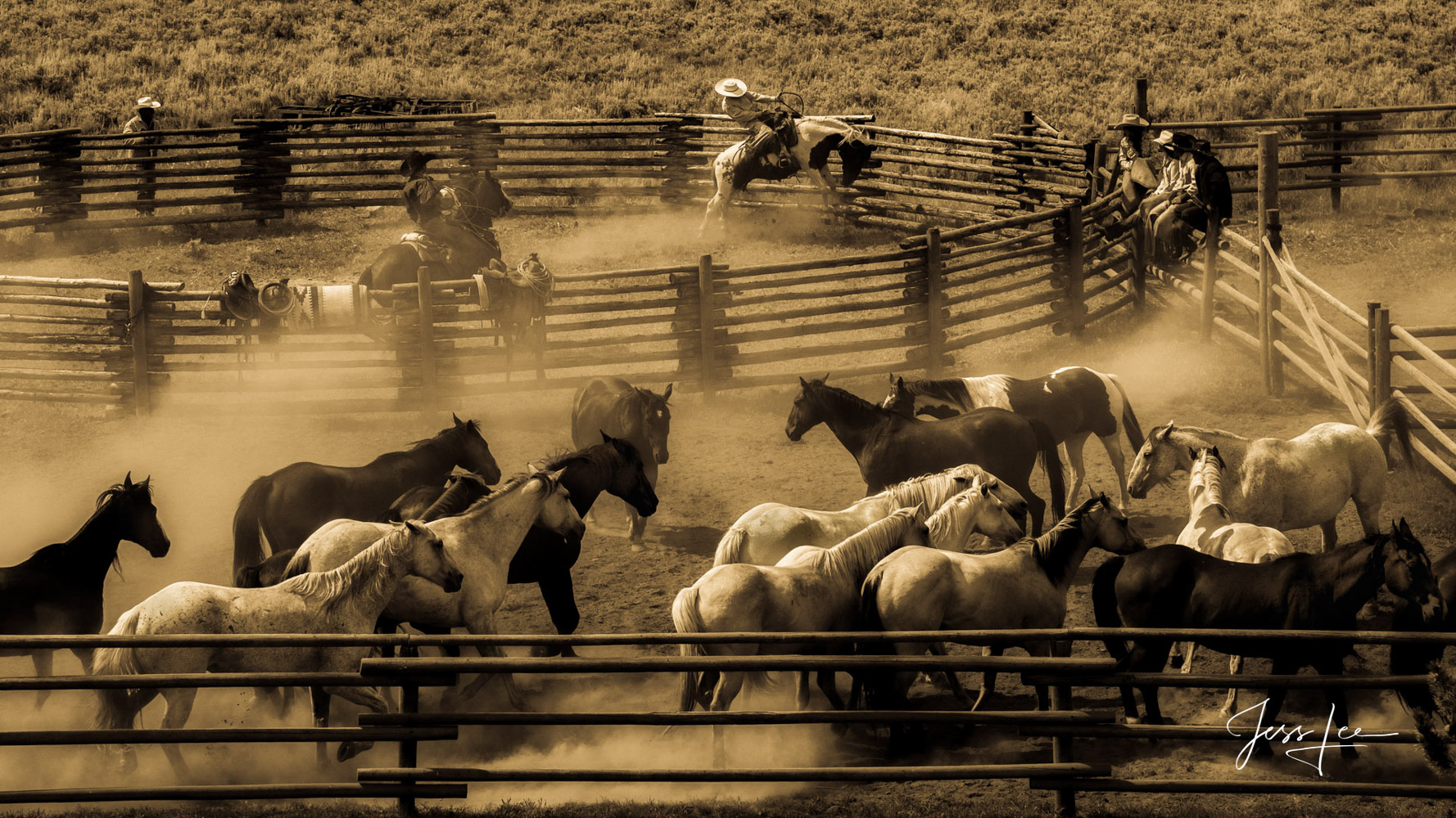 Fine Art Limited Edition Photography of Cowboys, Horses and life in the West. Wyoming cowboy living from the past at work today...