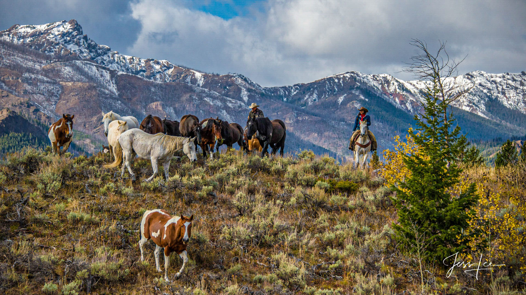 Returning Home from the High Country Cowboy Photography Stock and Fine Art Limited Edition Photography of Cowboys, Horses and life in the West. Limited to 250 Prints...