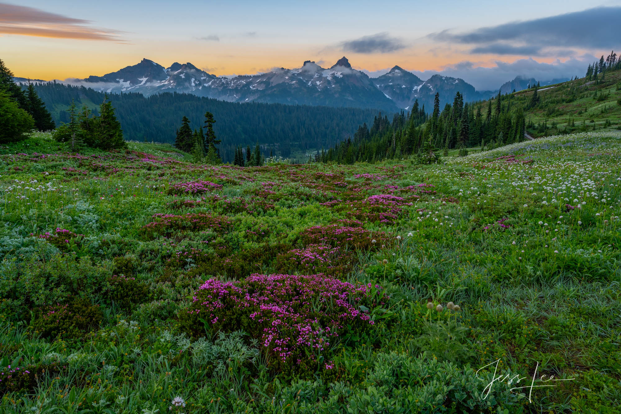Summer Paradise photo photo of Mount Rainier in Washington, Pacific Northwest photography, PNW, fine art prints, landscape, mountains, trees, evergreens, summer, flowers blooming, National Parks, mountain , photo