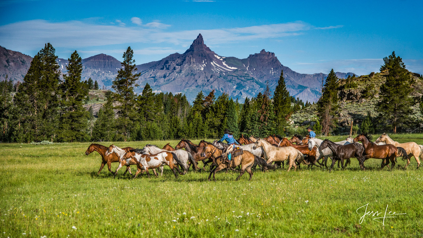 Fine Art Limited Edition Photography of Cowboys, Horses and life in the West. 250 Prints of Wyoming horse herd running on their...