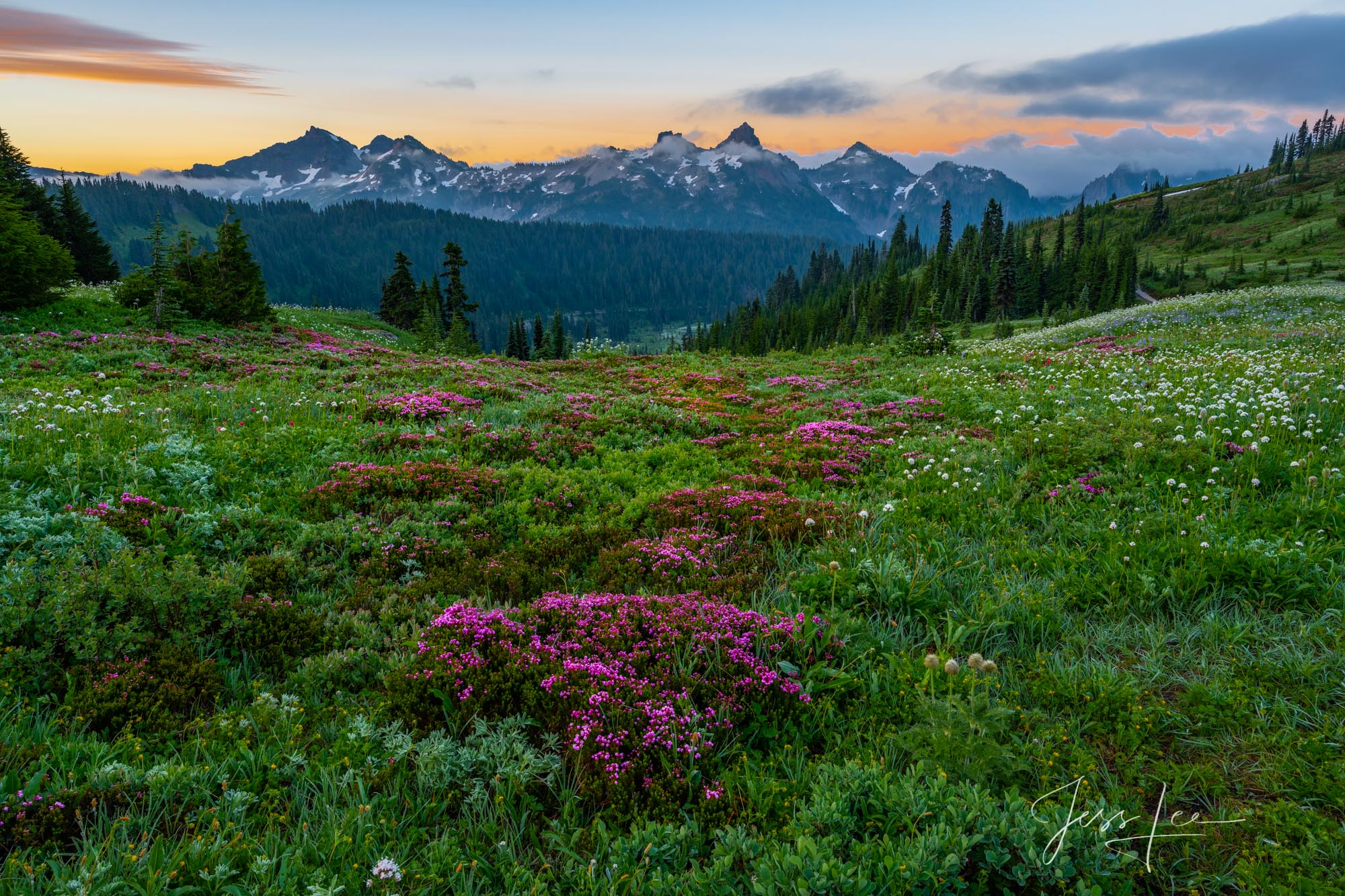 Mount Rainer Photograph Fine Art Print of summer blue color flowers and snow capped mountain photo.print