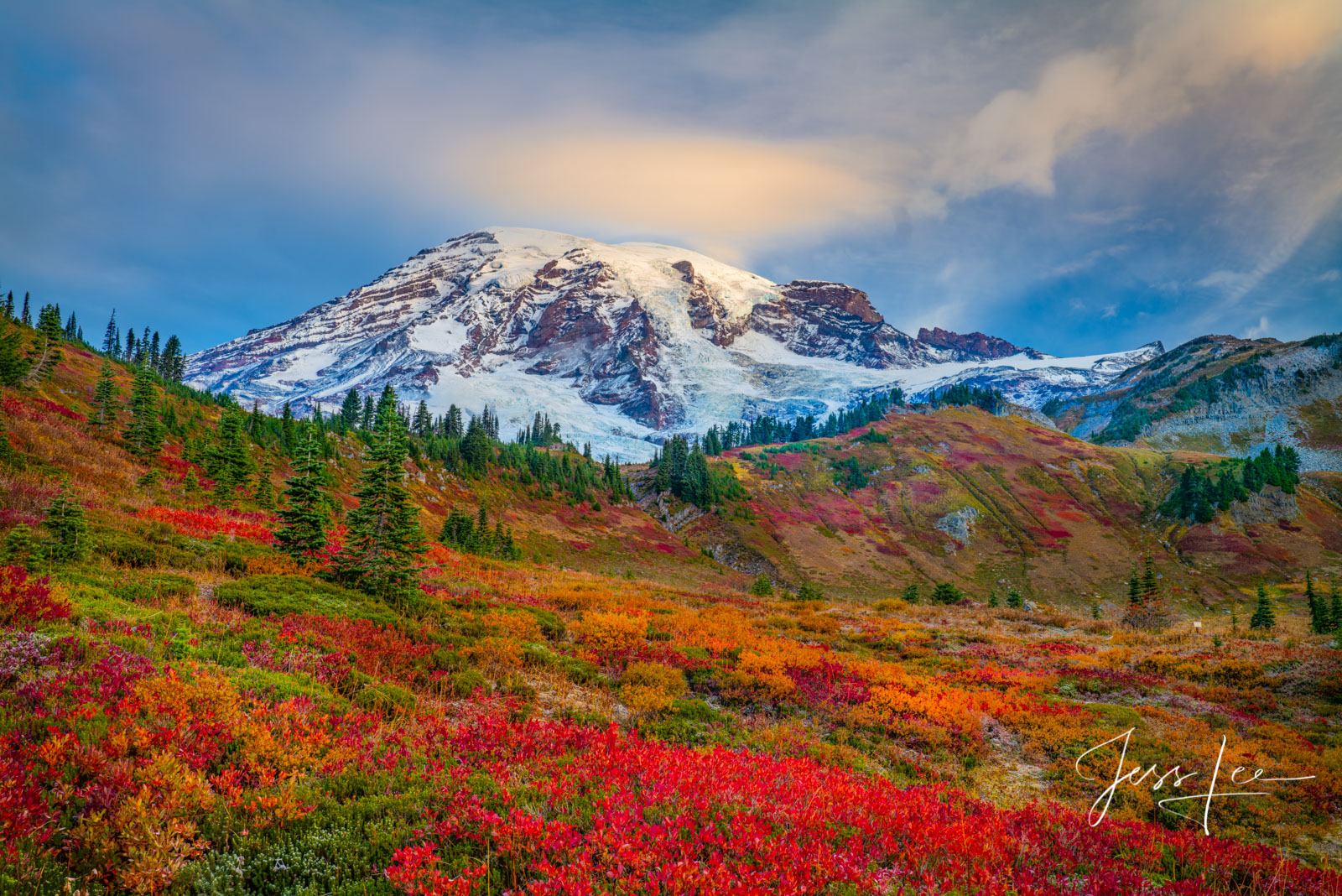 Morning on Mt Rainier before the storm with fall color in the grass and streaking clouds over the snow capped mountain. Fine art wall art photo print.
