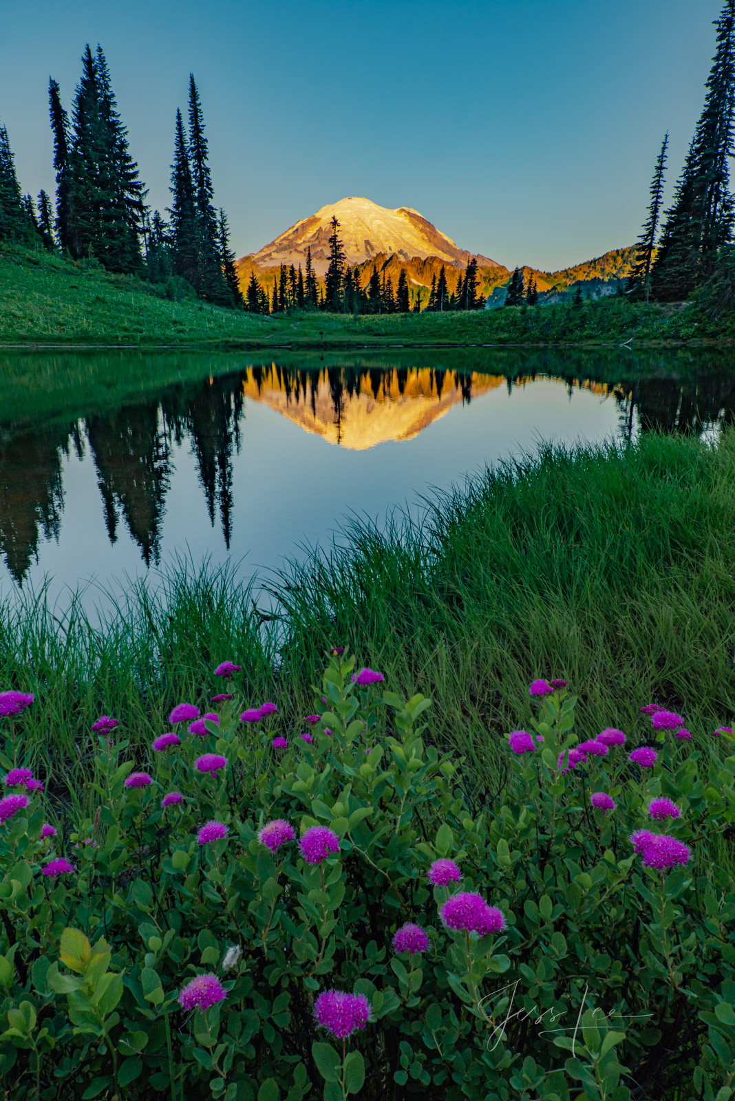 Tipso Spring is a beautiful picture of the splendor of Mt. Rainier National Park. Flowered meadows by summer and colors of fall...