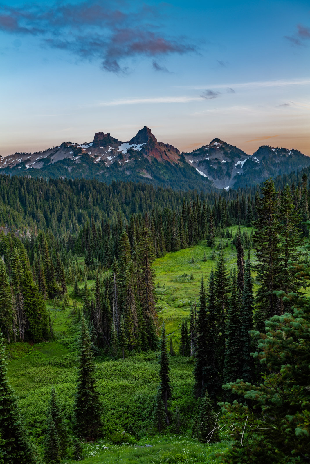 Mount Rainer Photograph Fine Art Print of summer blue color flowers and snow capped mountain photo.