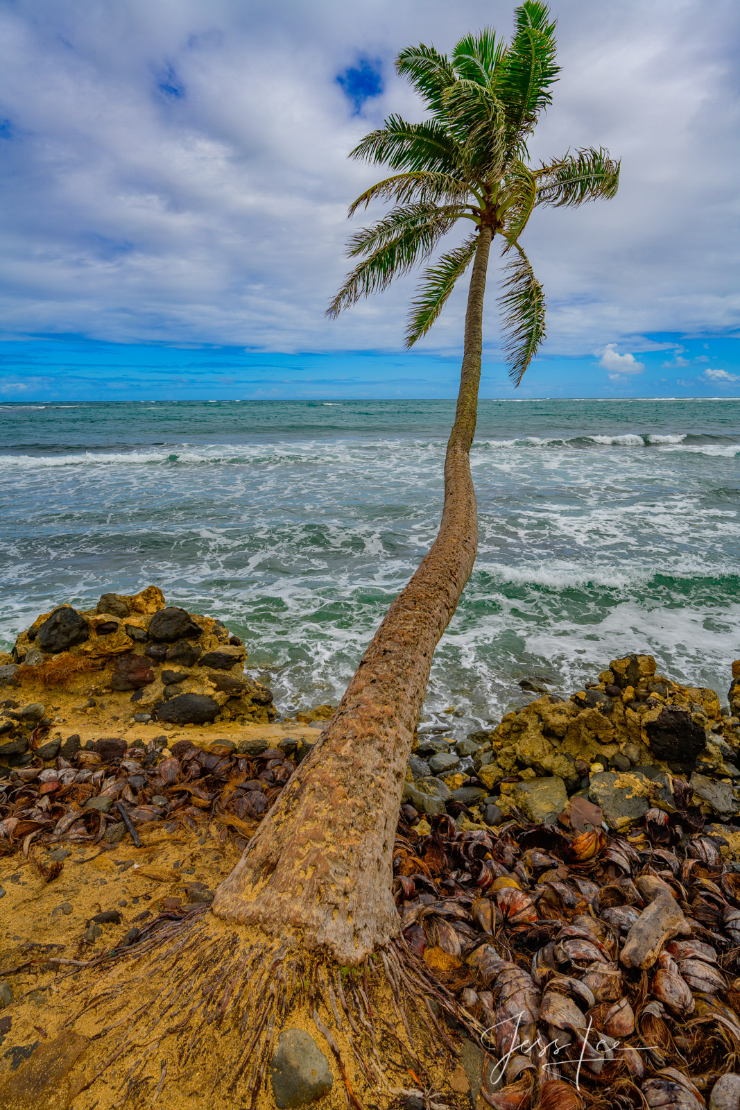 Transform your walls with Reaching Out a beautiful Fine Art Limited Edition Print of the Hawaiian paradise photographed by Jess...