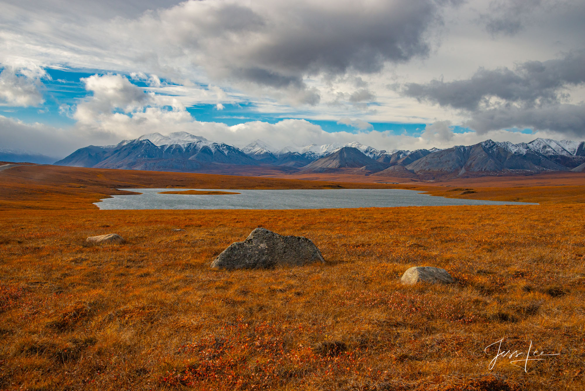 Arctic tundra dressed in red, white, and blue colors 