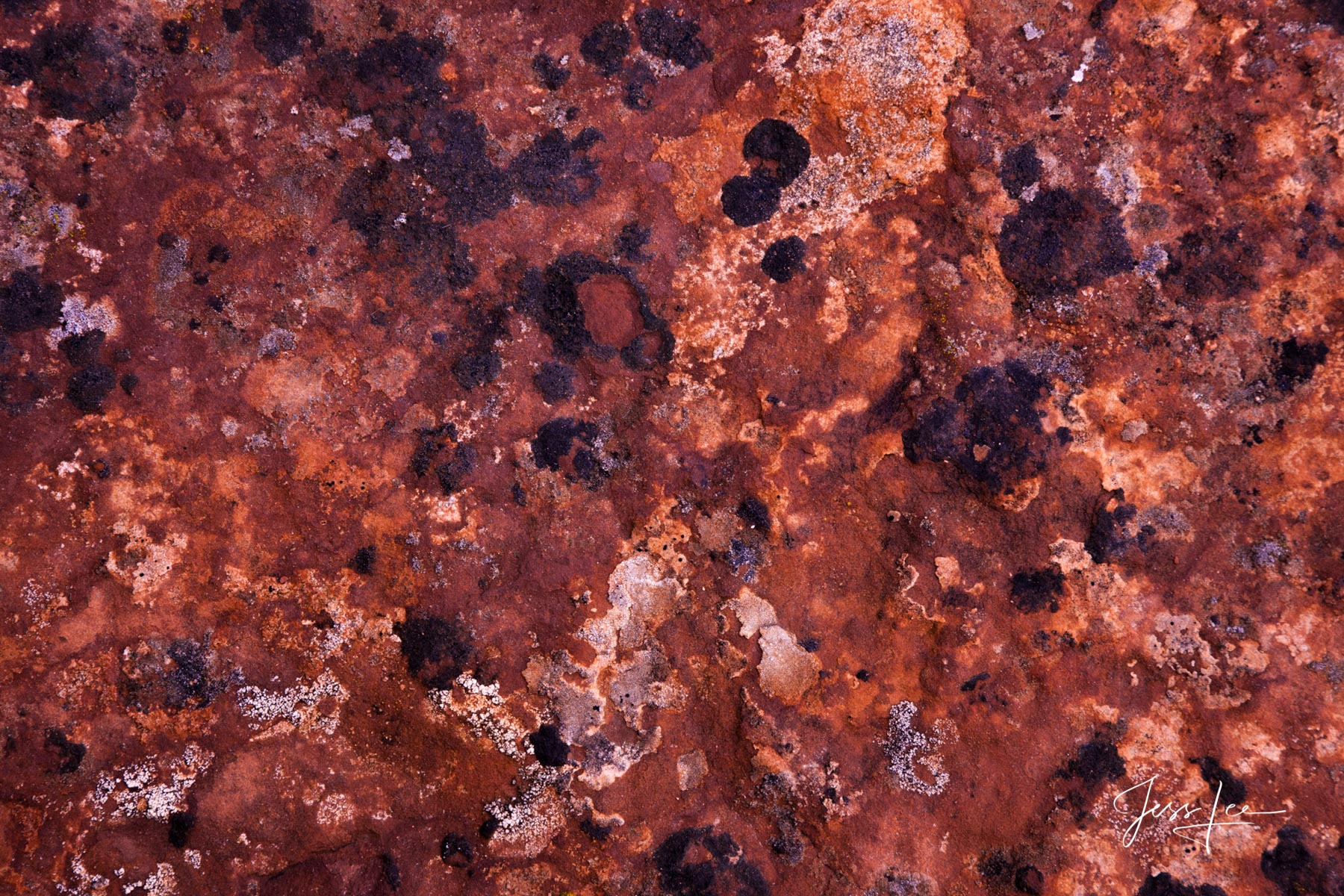Limited Edition of 50 Exclusive high-resolution Museum Quality Fine Art  Abstract Photography. Photos Copyright © Jess Lee