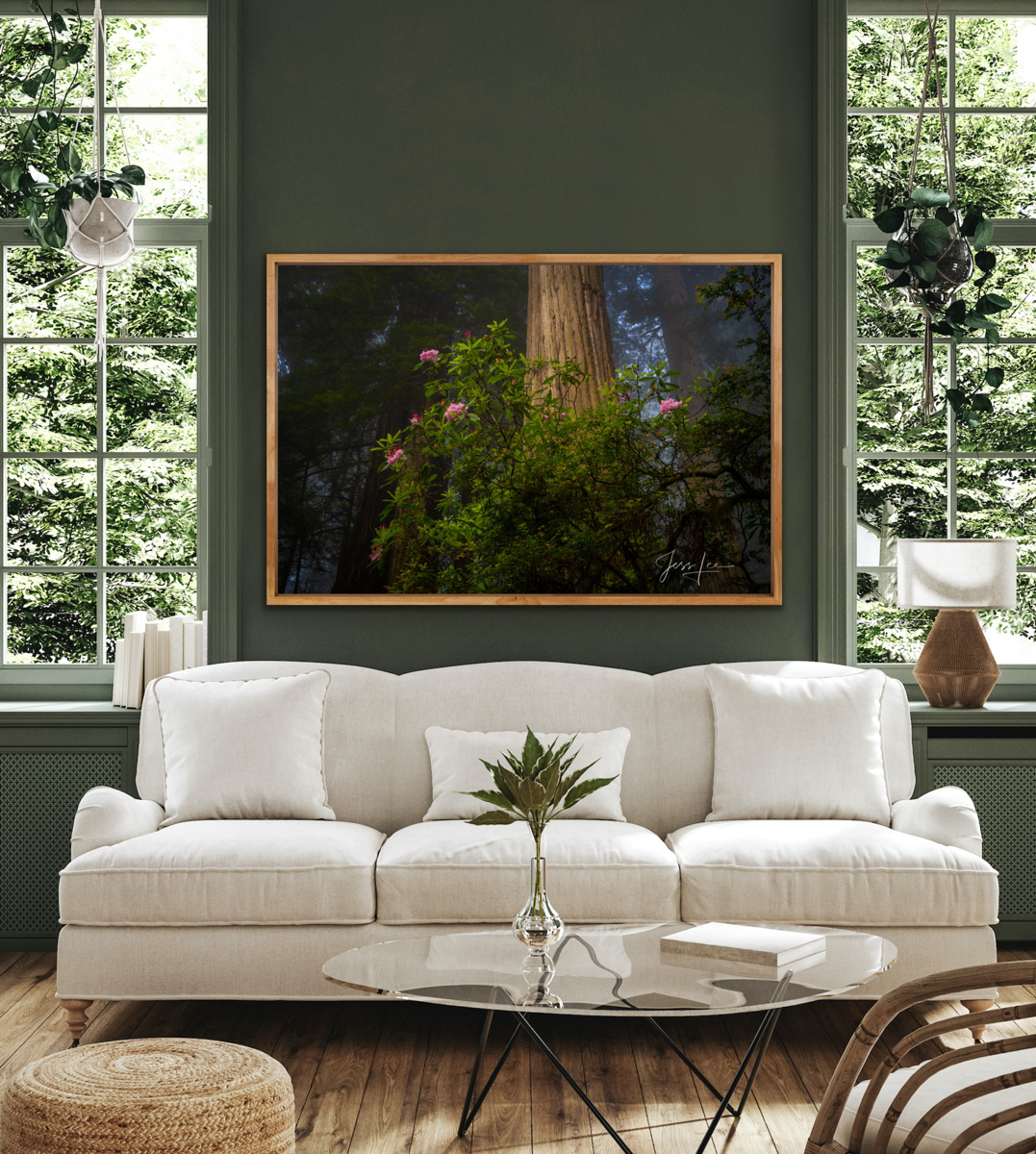 Redwoods Photography Prints. Pictures available as an Acrylic, Metal, Canvas, or Fine Art Paper limited edition wall art prints.