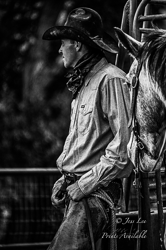 Fine Art Limited Edition Photo Prints of Cowboys, Horses, and life in the West. Now! A Cowboy picture in black and white. This...
