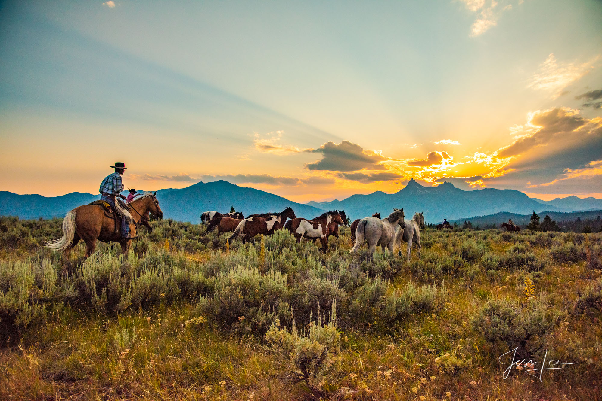 Heading for Sunset | Cowboy herding horses to the sunset