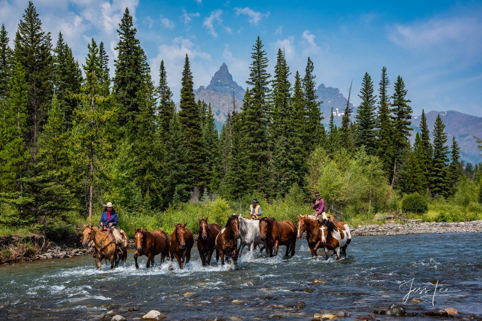 Fine Art Limited Edition Photography of Cowboys, Horses and life in the West. Wyoming horse herd being moved across a mountain...
