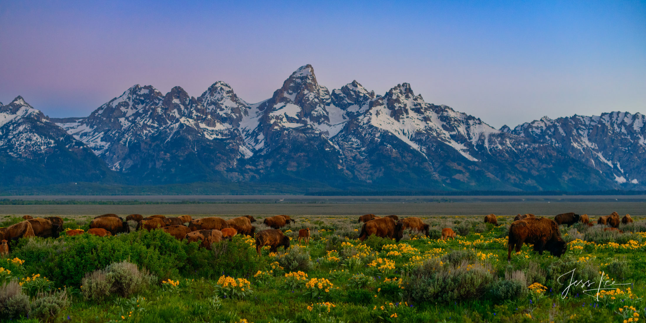 Grand Teton Photo Print 9 A Grand Teton photo fine art print of beautiful Photography and Pictures in large format museum-quality Acrylic or metal wall art