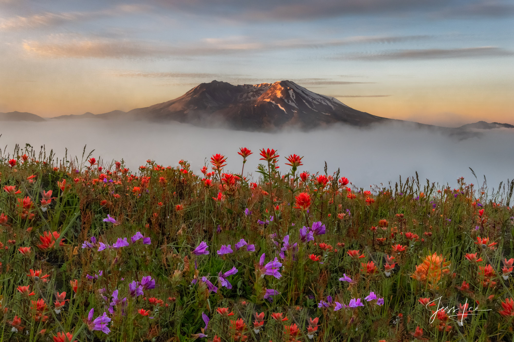 Fine Art Limited Edition of 200 Mountain Photography prints.  Today mother nature is restoring this once decimated land as shown...