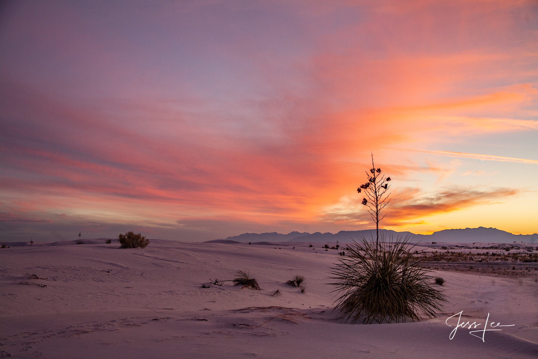 Limited Edition of 50 Exclusive high-resolution Museum Quality Fine Art Prints of Desert sunrise. Photos copyright © Jess Lee...