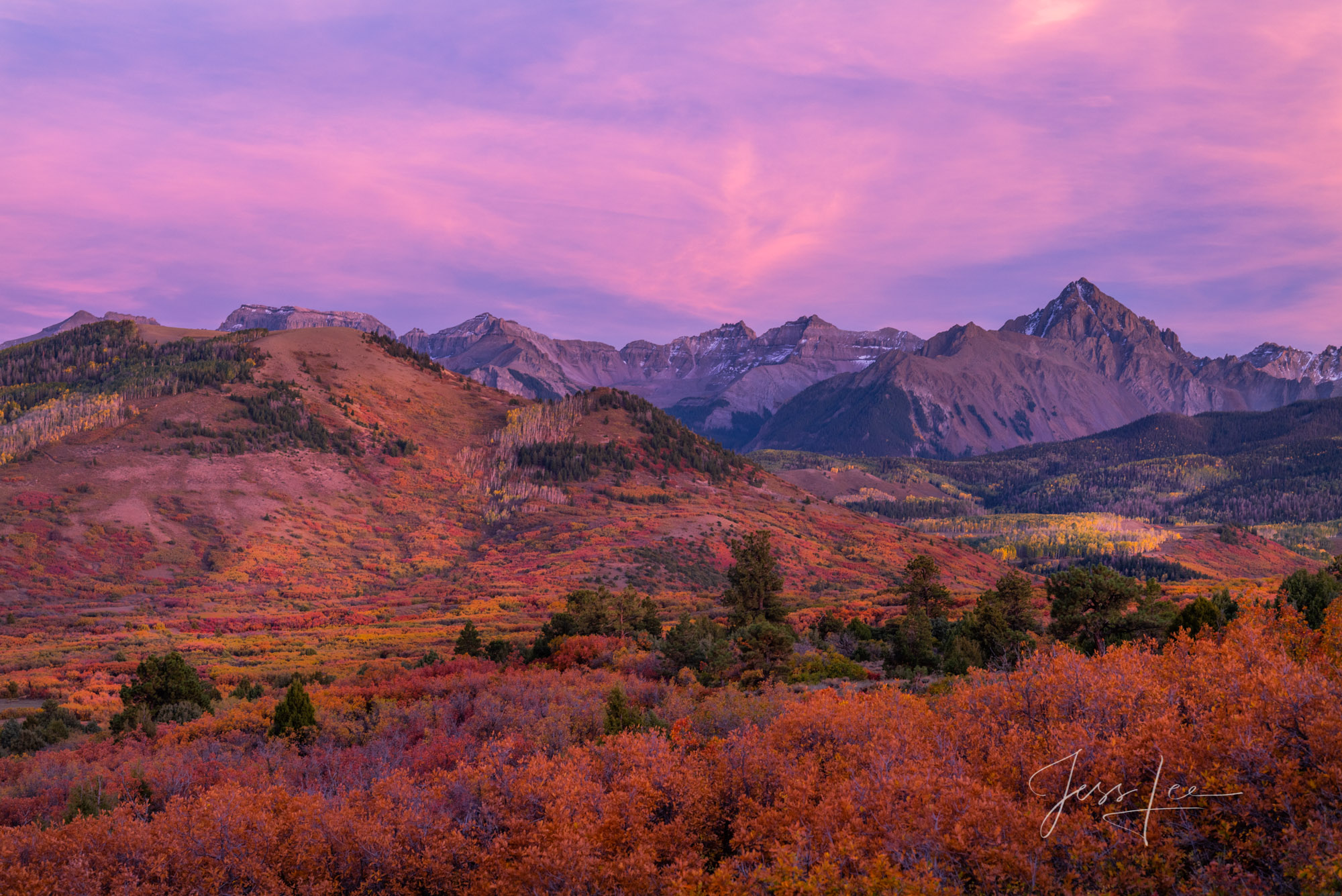 Colorado Fall Color Photography Print Dallas divide