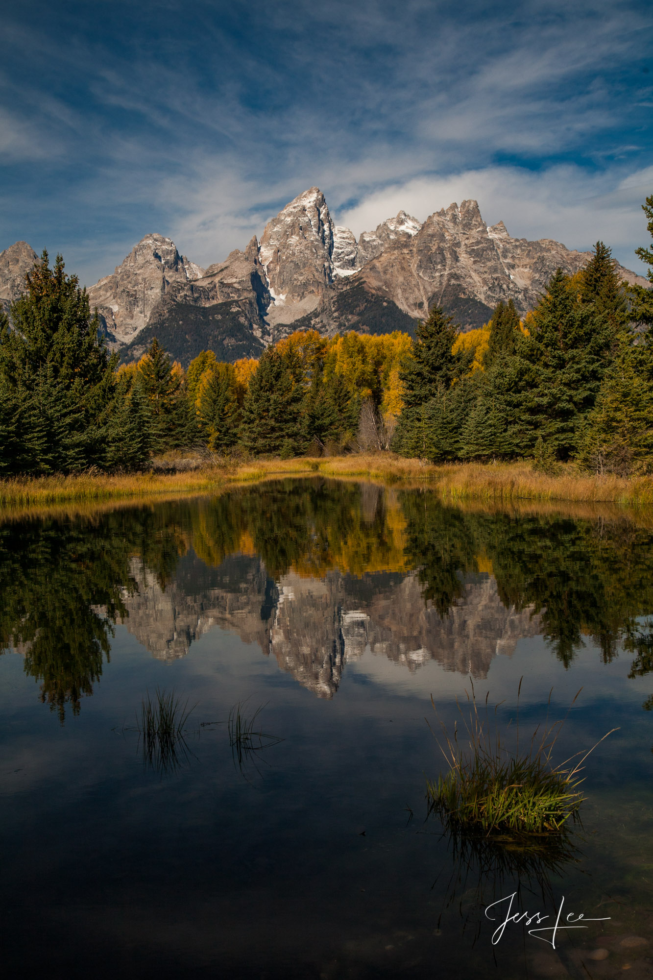 The Pond at Schwabacher’s Landing Schwabacher's Landing photography Print with Grand Teton reflecting in the water