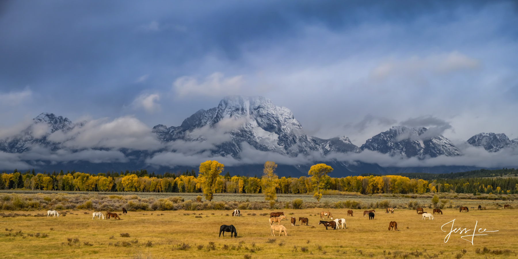 Limited Edition of 150 Exclusive high-resolution Museum Quality Fine Art Prints of Horses in the Tetons Panorama Photography...