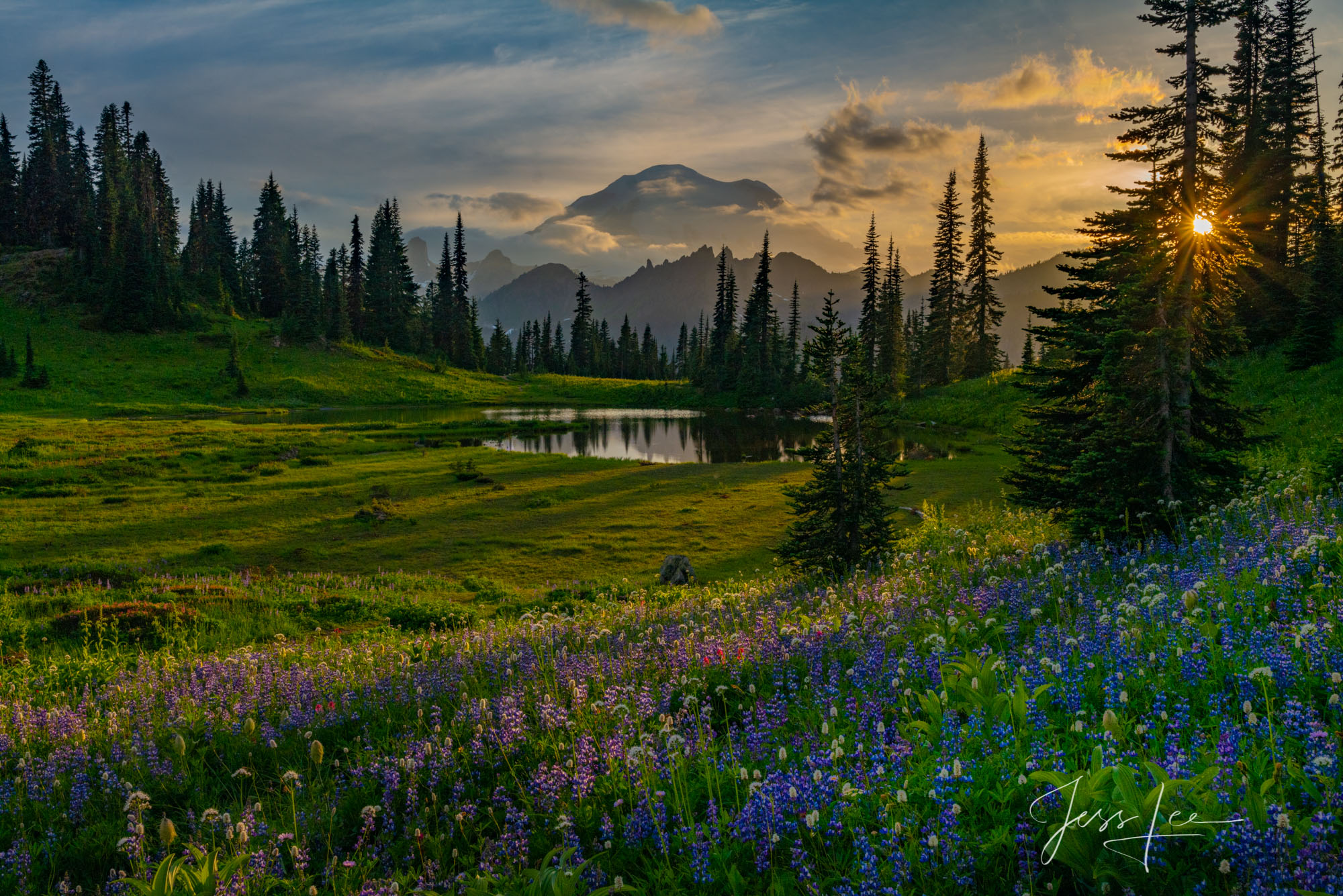 Sundown at Tipsoo Lake photo photo of Tipsoo Lake in Washington, National Park, alpine lake photo, sunset photography, lake print, sundown, Washington, National Park, PNW, Pacific Northwest, landscape, photo