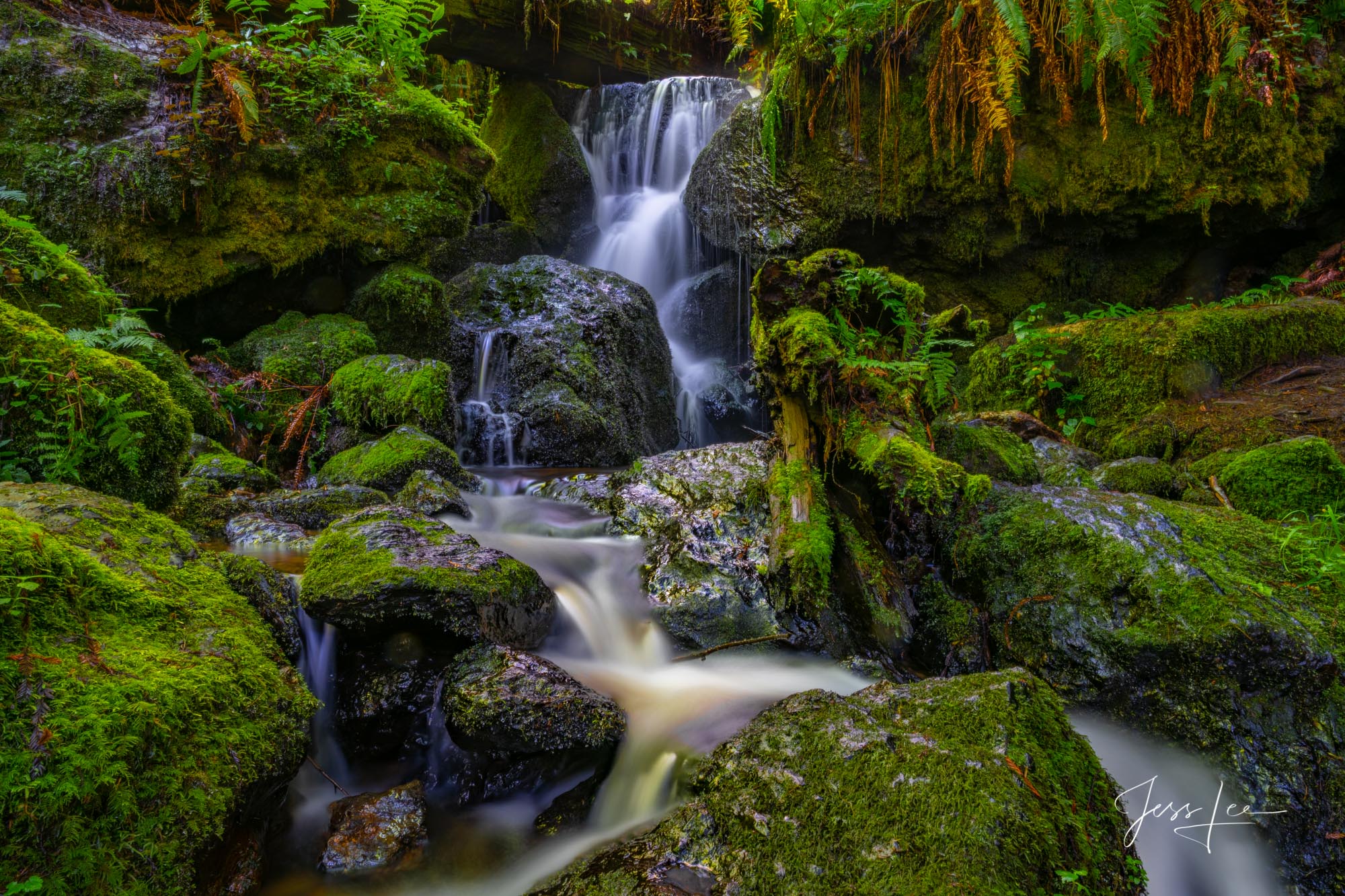 Trillium Water Falls Fine Art Print of Trillium Falls in Redwoods National Park. Limited Edition of 50 prints available of Trillium Falls. Part of...