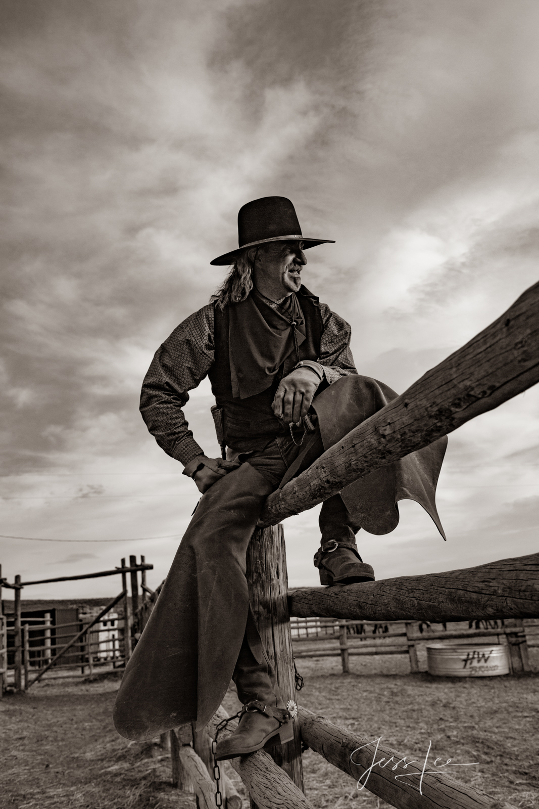 On the Fence Cowboy on the fence