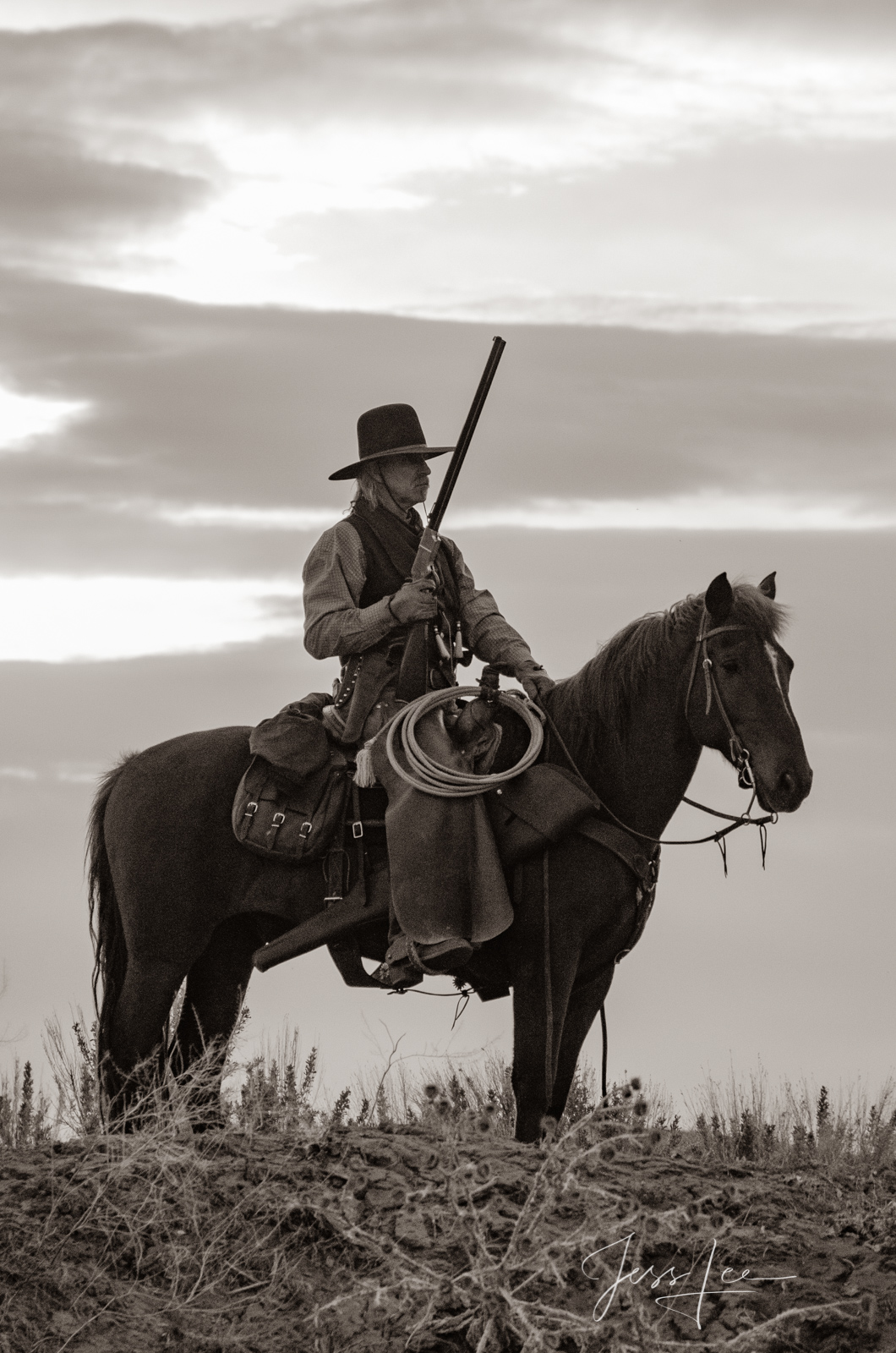 Cowboy on horse night guarding cattle.