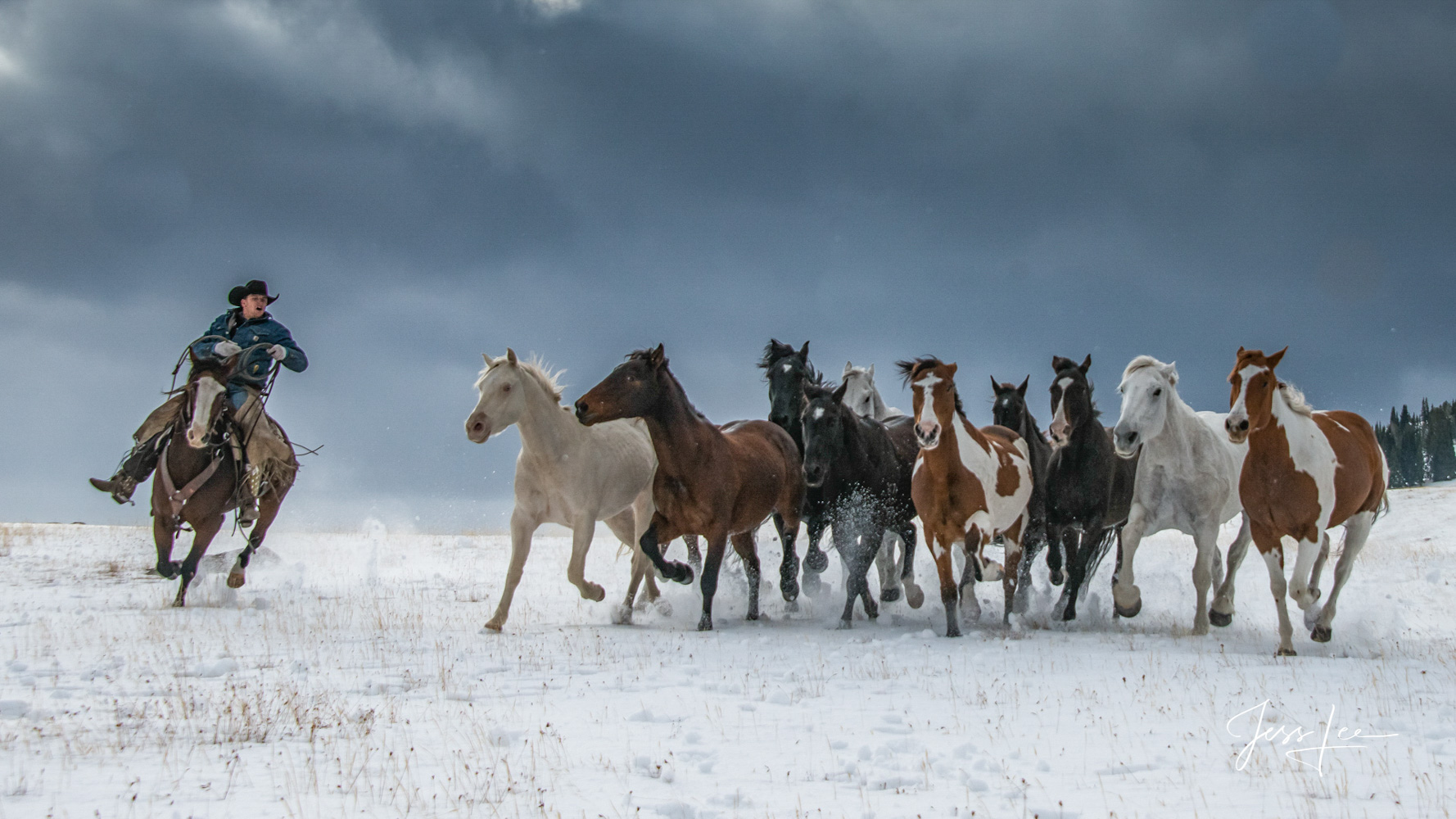 Fine Art Limited Edition Photography of Cowboys, Horses and life in the West. Wyoming horse herd running through the snow as...