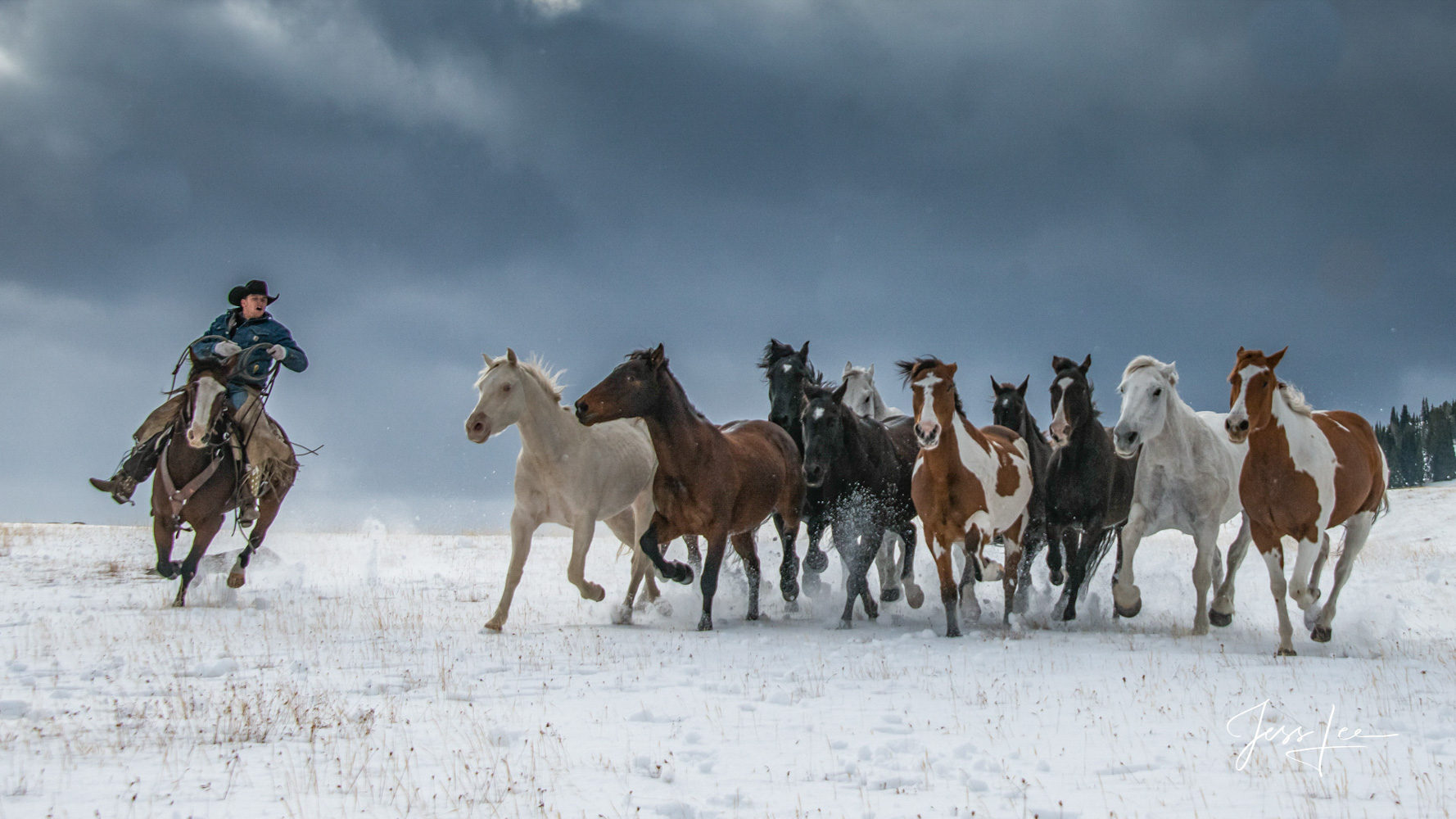 Turning the Herd | cowboy herding horses in snow Fine Art Limited Edition Photography of Cowboys, Horses and life in the West. Wyoming horse herd running through the snow as...