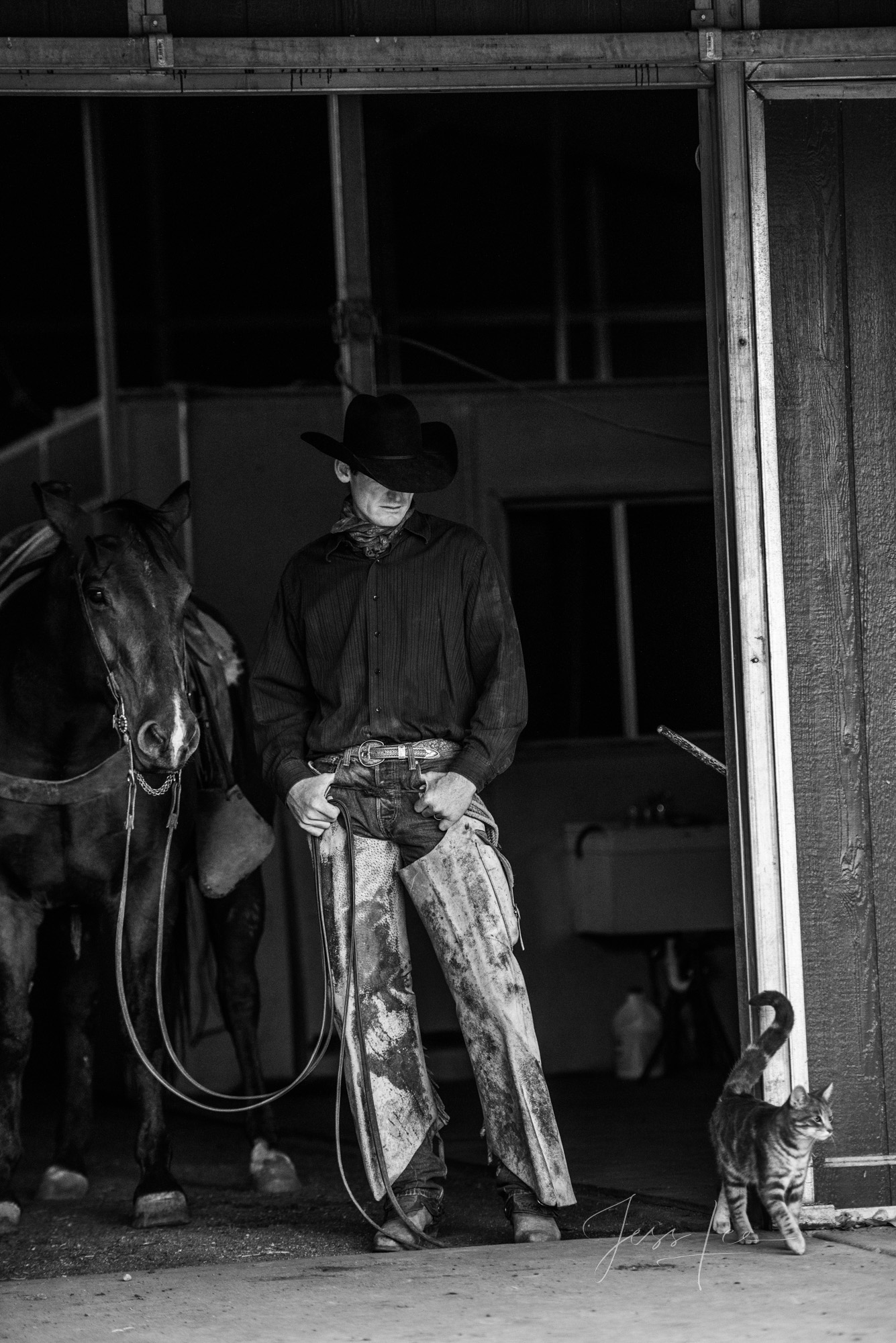 Fine Art Limited Edition Photo Prints of Cowboys, Horses, and life in the West. Cats! A Cowboy picture in black and white. This...