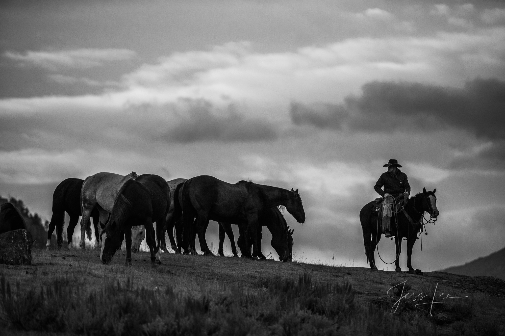 Fine Art Limited Edition Photo Prints of Cowboys, Horses, and life in the West. Watching the Herd is a Cowboy picture in black...