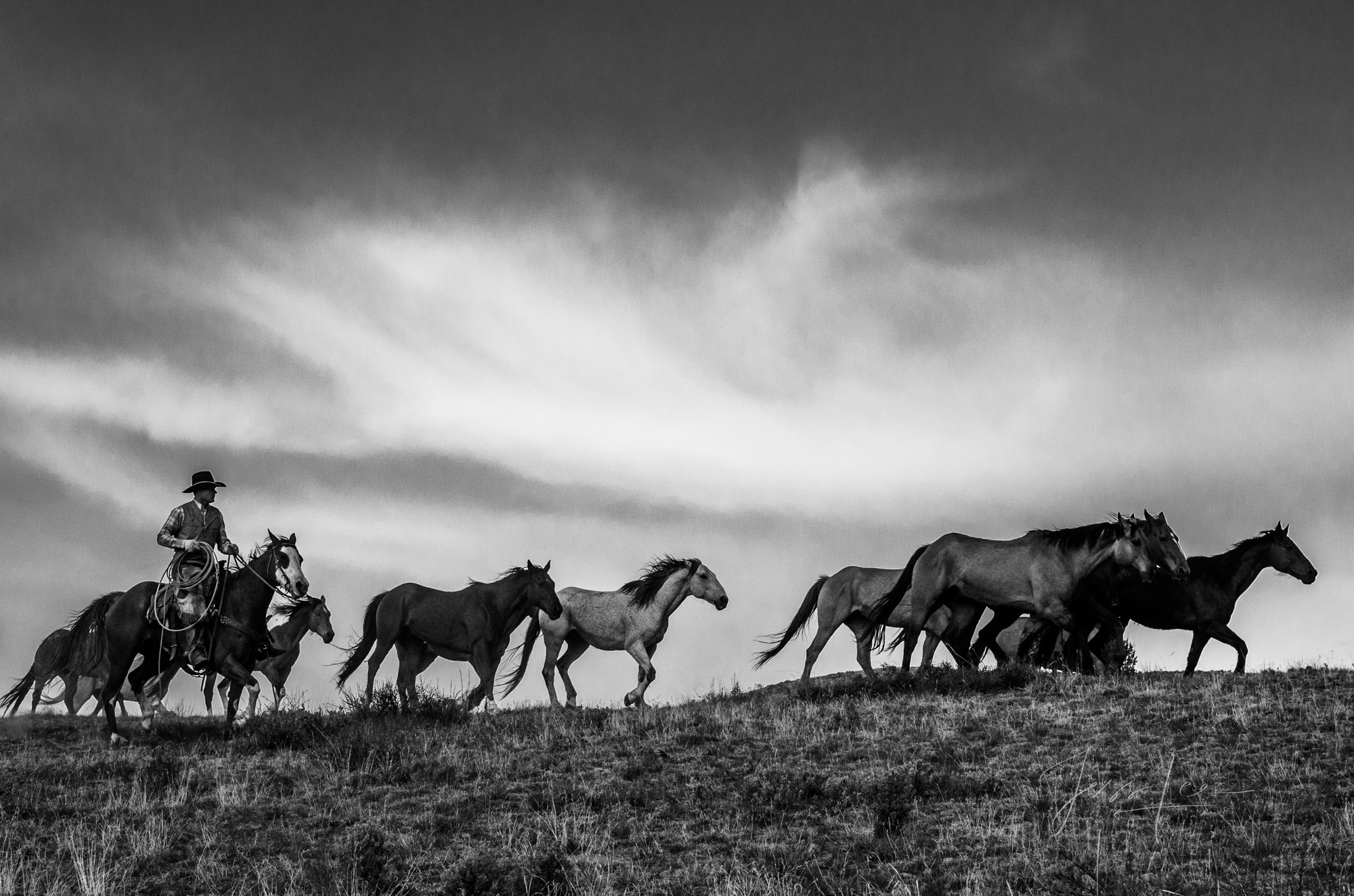 Fine Art Limited Edition Photo Prints of Cowboys, Horses, and life in the West. Ridge Runners. A Cowboy picture in black and...