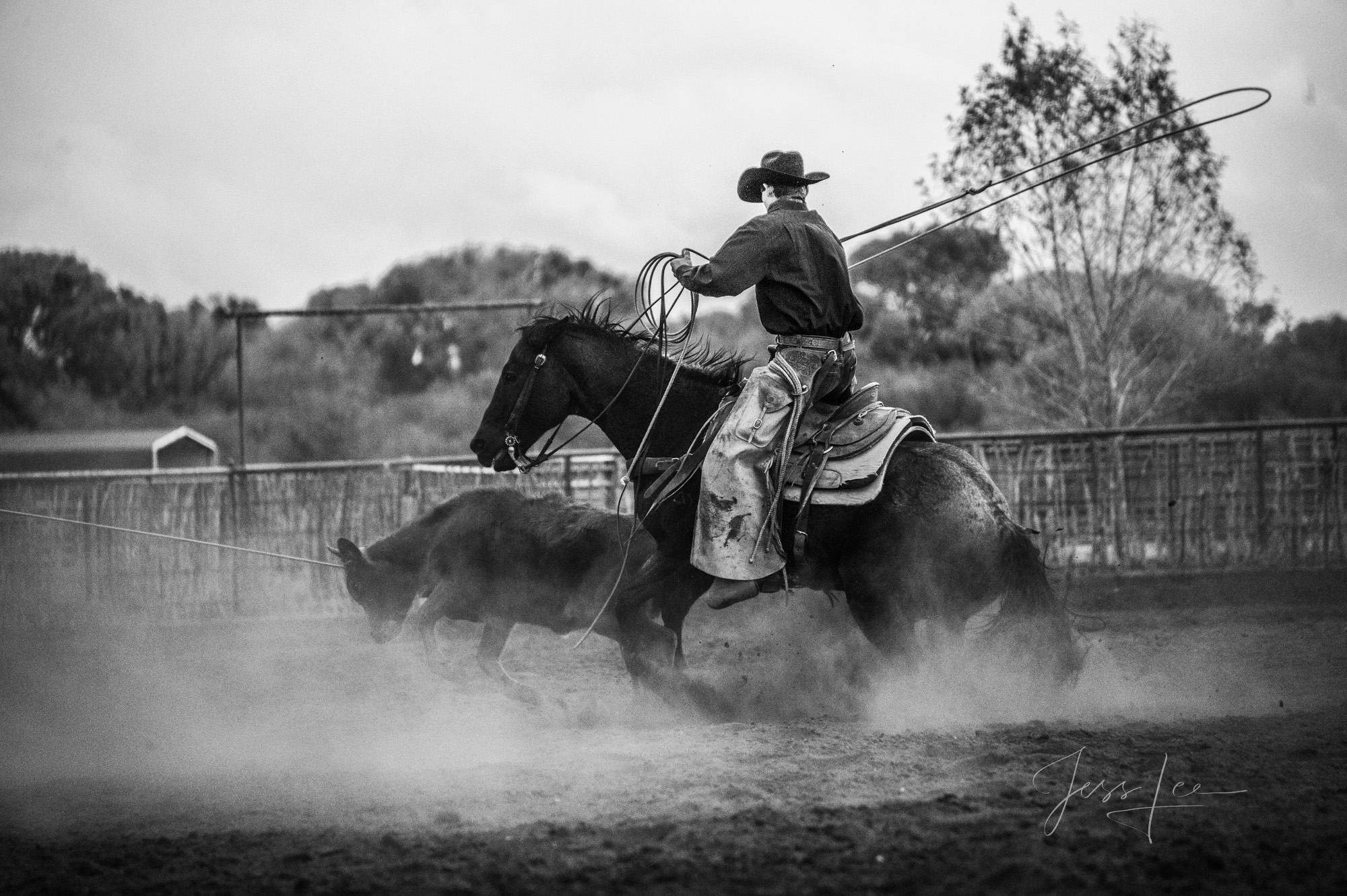 Fine Art Limited Edition Photo Prints of Cowboys, Horses, and life in the West. Heeler bw. A Cowboy picture in black and white...