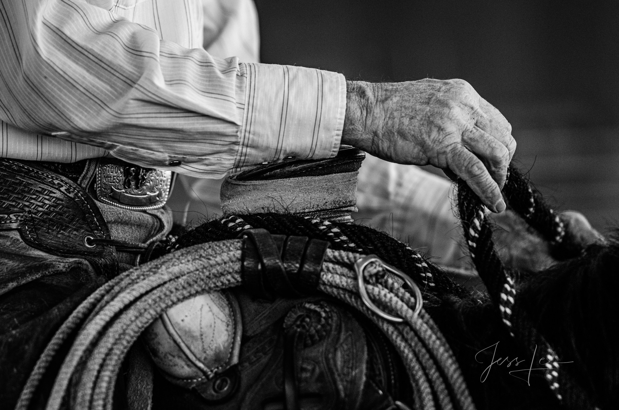 Fine Art Limited Edition Photo Prints of Cowboys, Horses, and life in the West.  Cowboy pictures in black and white. In the Hands...