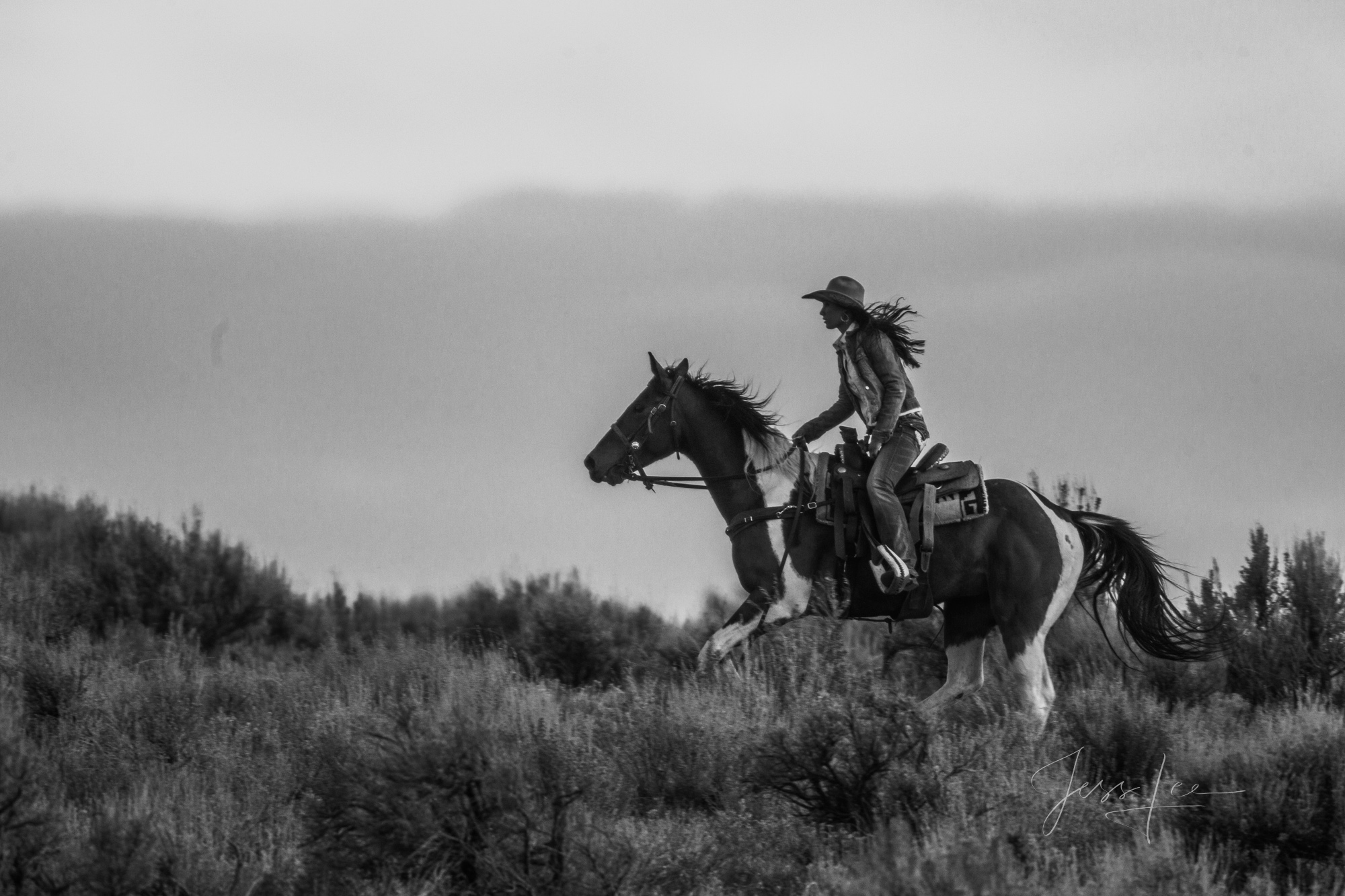 Fine Art Limited Edition Photo Prints of Cowboys, Horses, and life in the West.  Cowboy pictures in black and white. Flying Hair...
