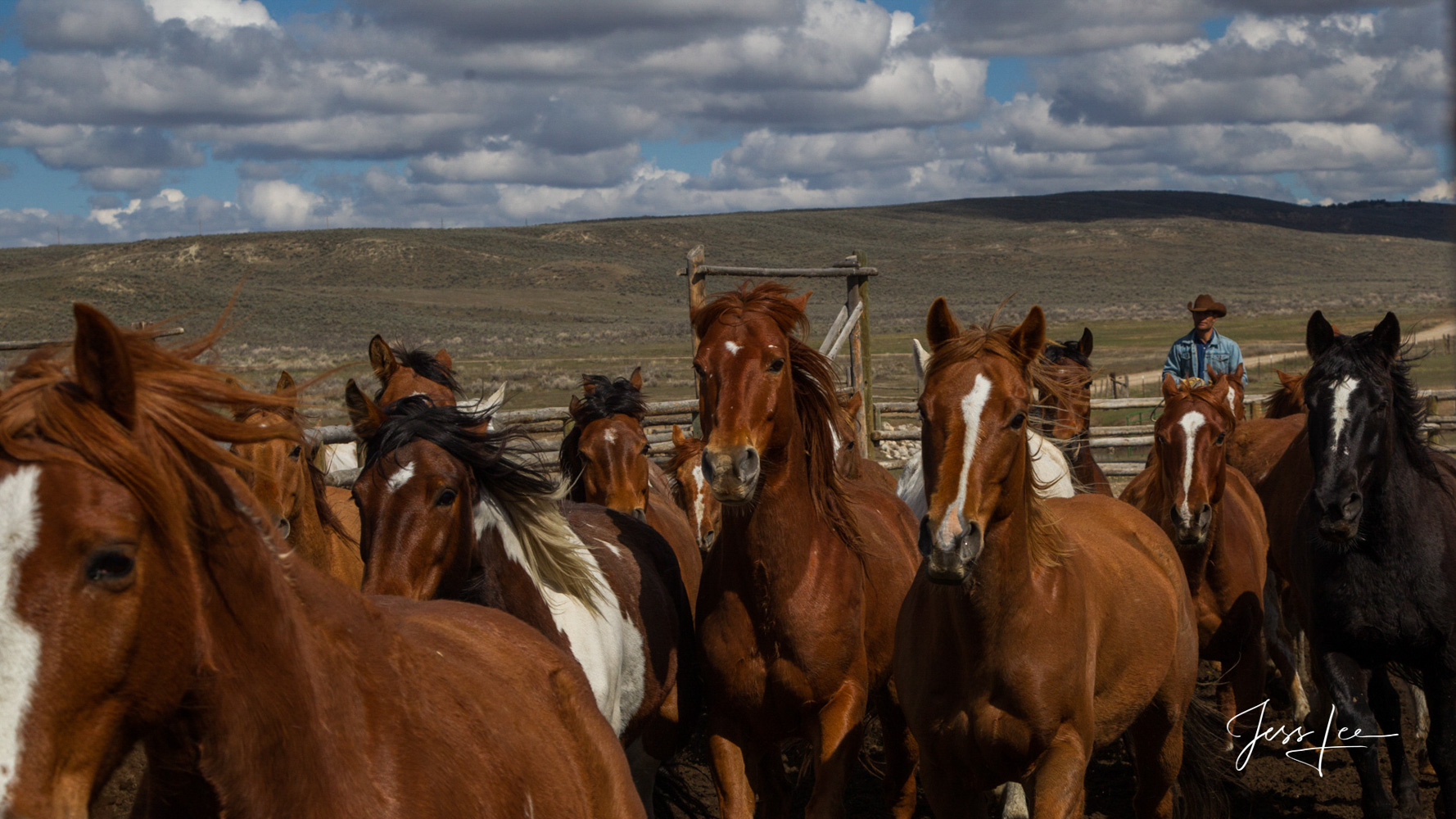 Fine Art, Limited Edition, Cowboy, and Western exclusive high-resolution Museum Quality Photography Prints of Western life and...