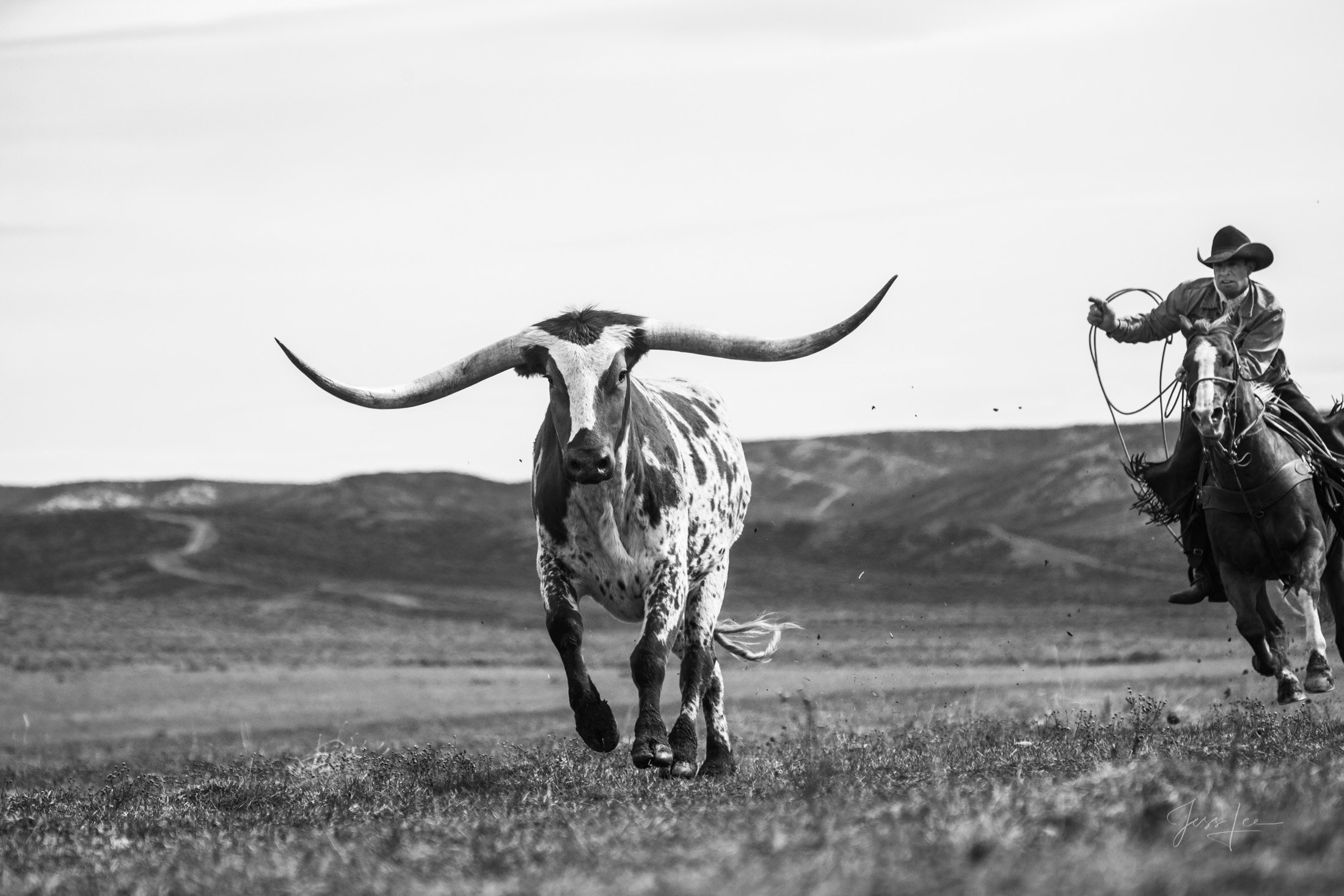 Fine Art Limited Edition Photo Prints of Cowboys, Horses, and life in the West. Cowboy pictures in black and white. This is...