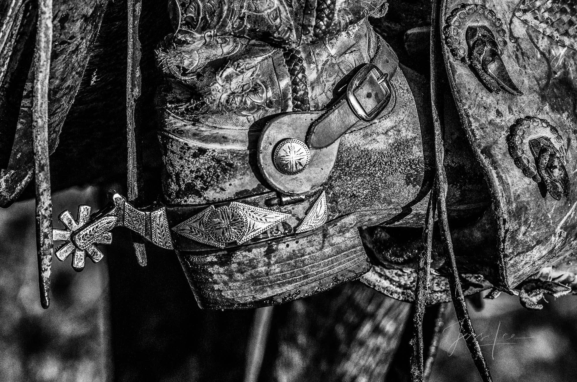 Spur on Fine Art Limited Edition Photo Prints of Cowboys, Horses, and life in the West. Cowboy pictures in black and white. Spur on....