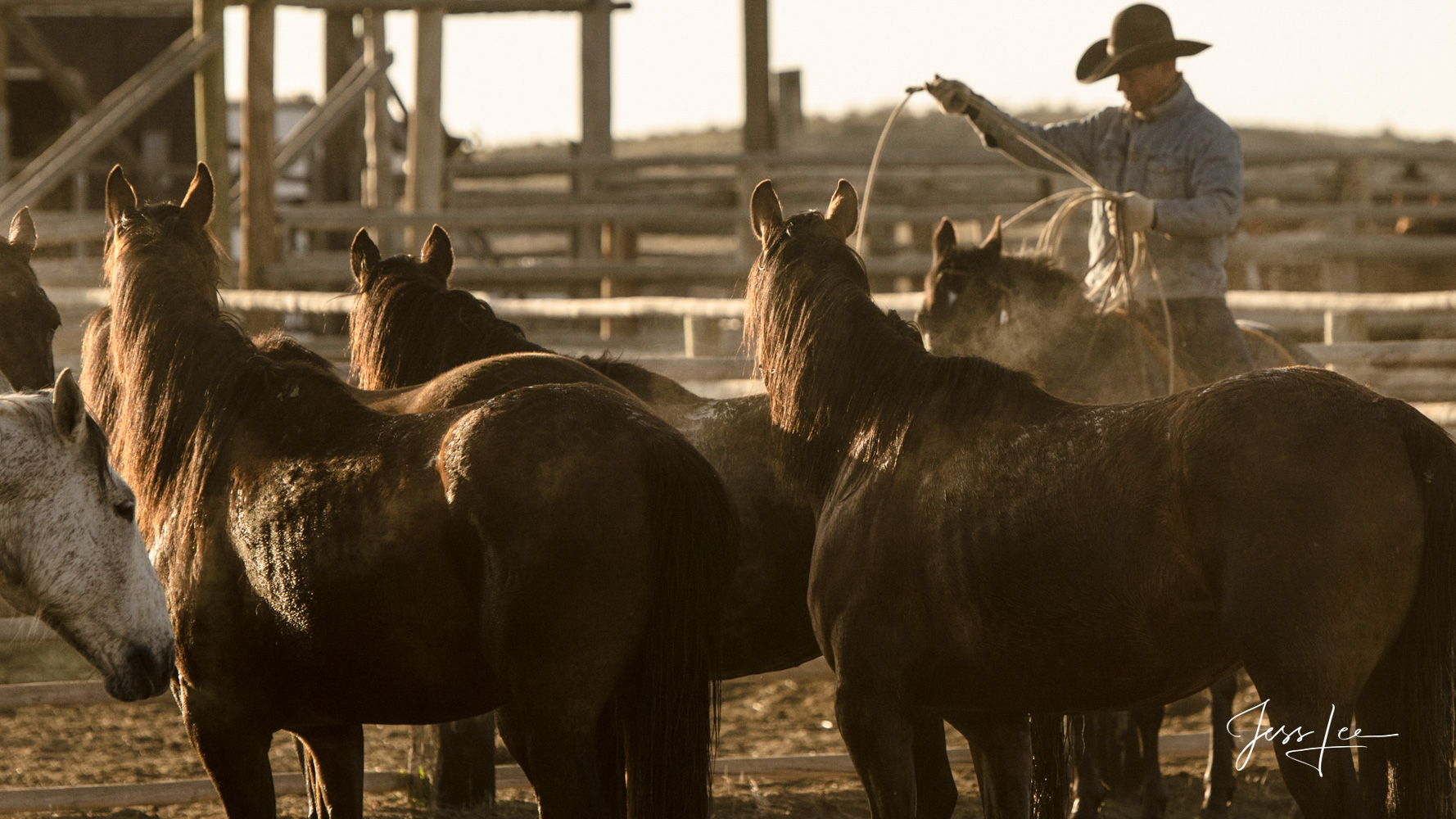Fine Art, Limited Edition, Cowboy, and Western exclusive high-resolution Museum Quality Photography Prints of Western life and...