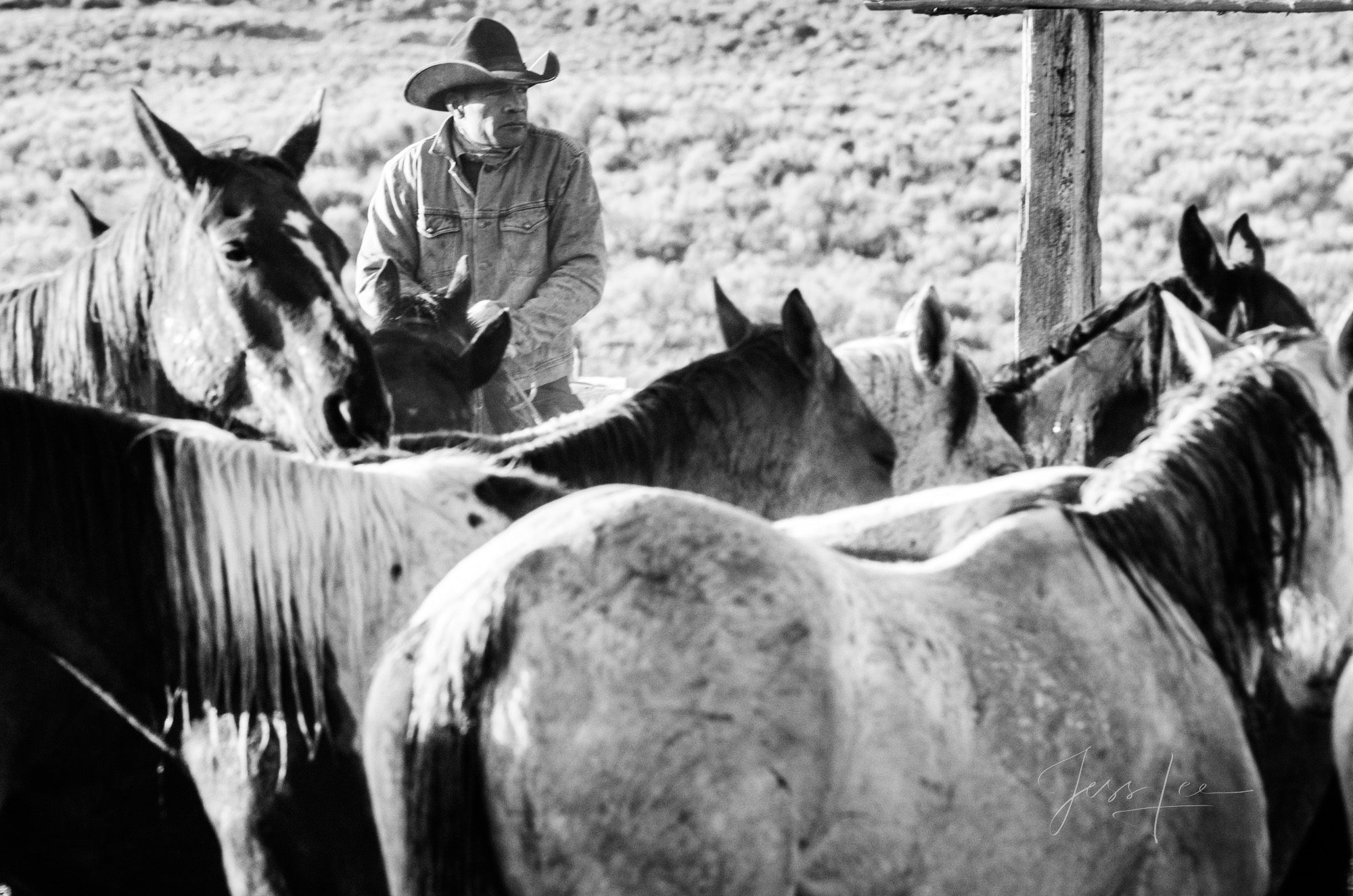 Fine Art Limited Edition Photo Prints of Cowboys, Horses, and life in the West. Cowboy pictures in black and white. This is...