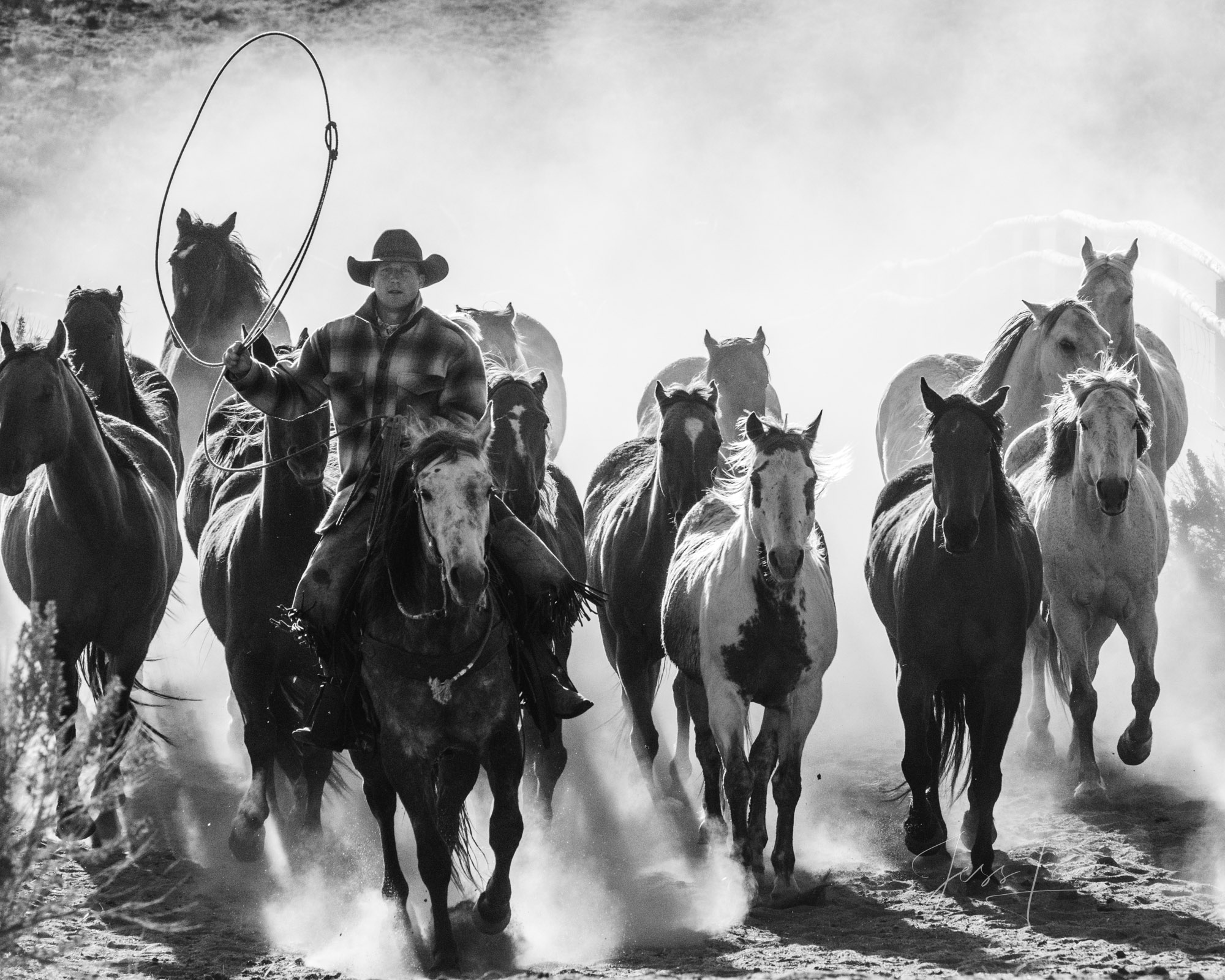 Fine Art Limited Edition Photo Prints of Cowboys, Horses, and life in the West. Cowboy pictures in black and white. This is...