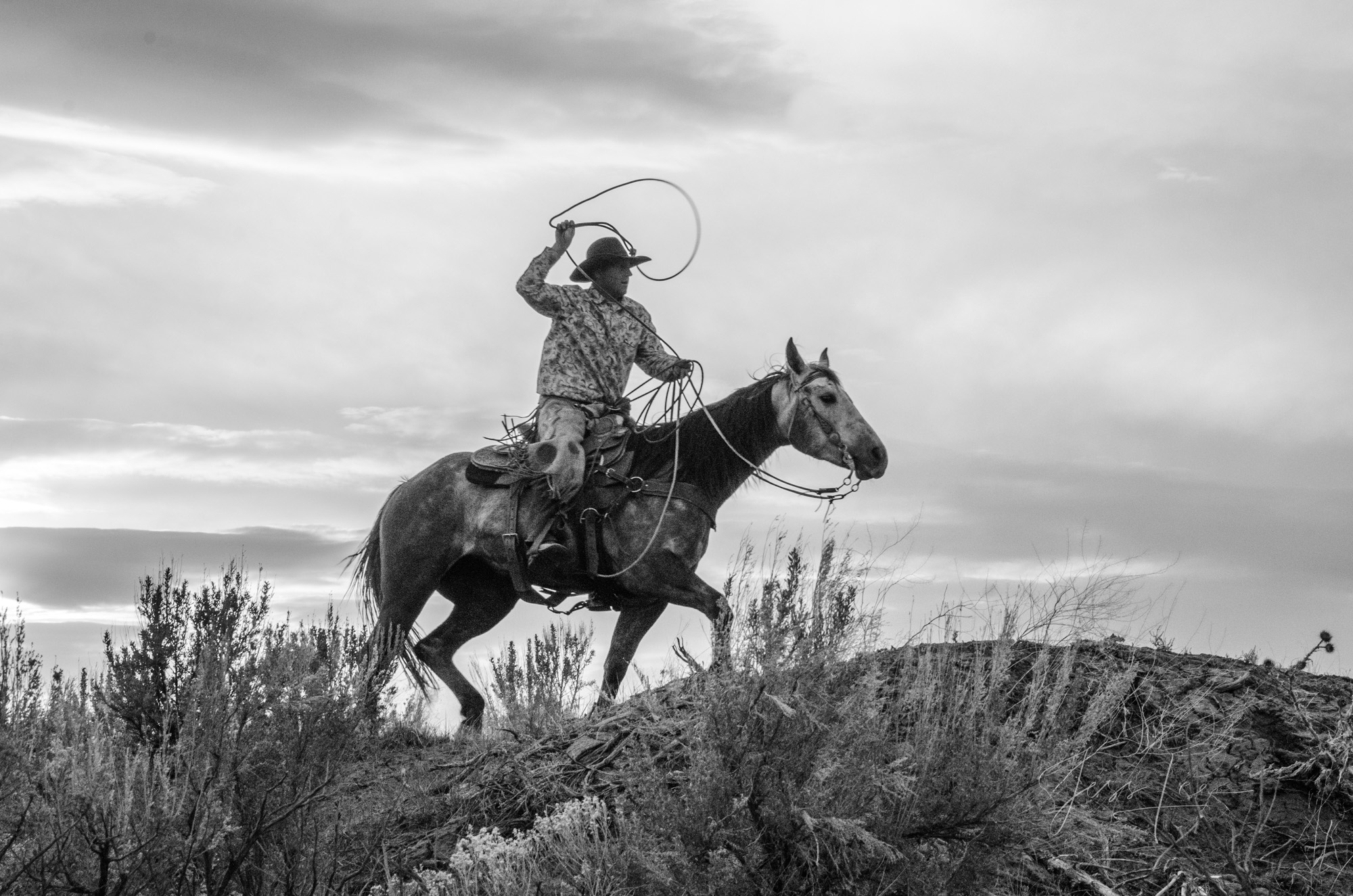 Fine Art Limited Edition Photo Prints of Cowboys, Horses, and life in the West.  Cowboy pictures in black and white. Ridge Roper...