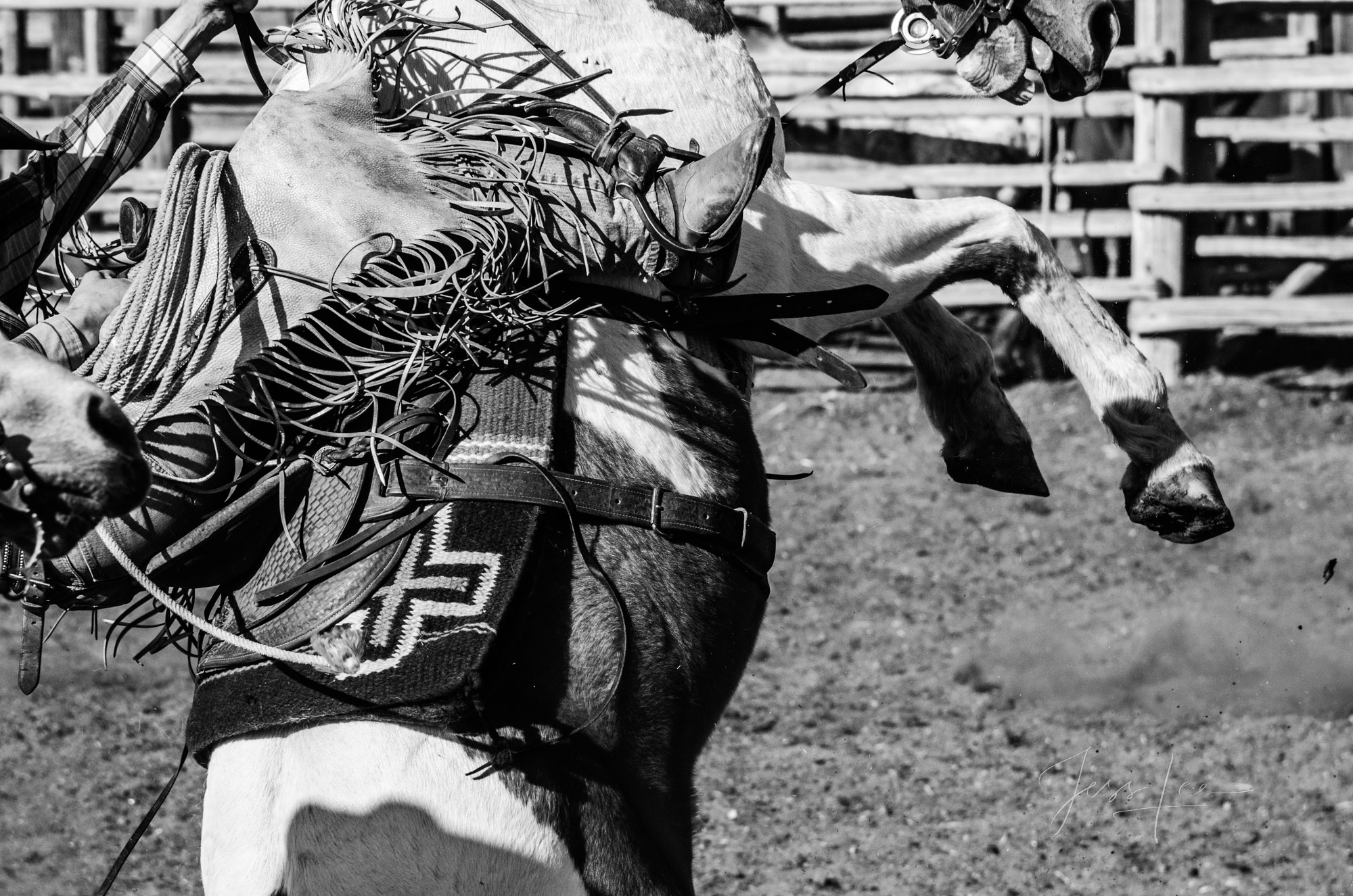 Fine Art Limited Edition Photo Prints of Cowboys, Horses, and life in the West. Good Times. A Cowboy picture in black and white...