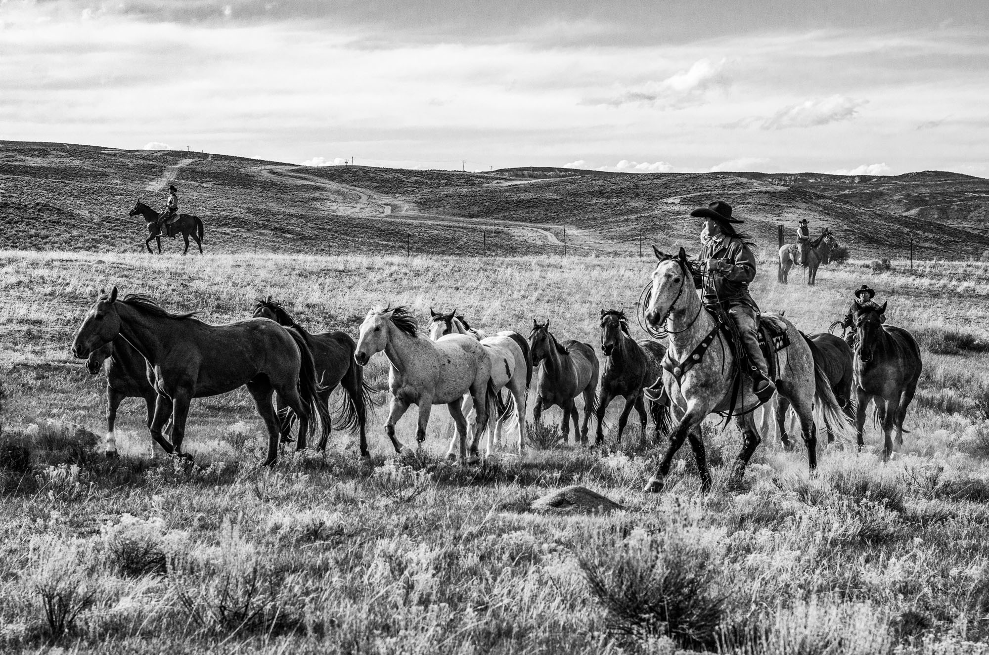 Fine Art Limited Edition Photo Prints of Cowboys, Horses, and life in the West. Open Range. A Cowboy picture in black and white...
