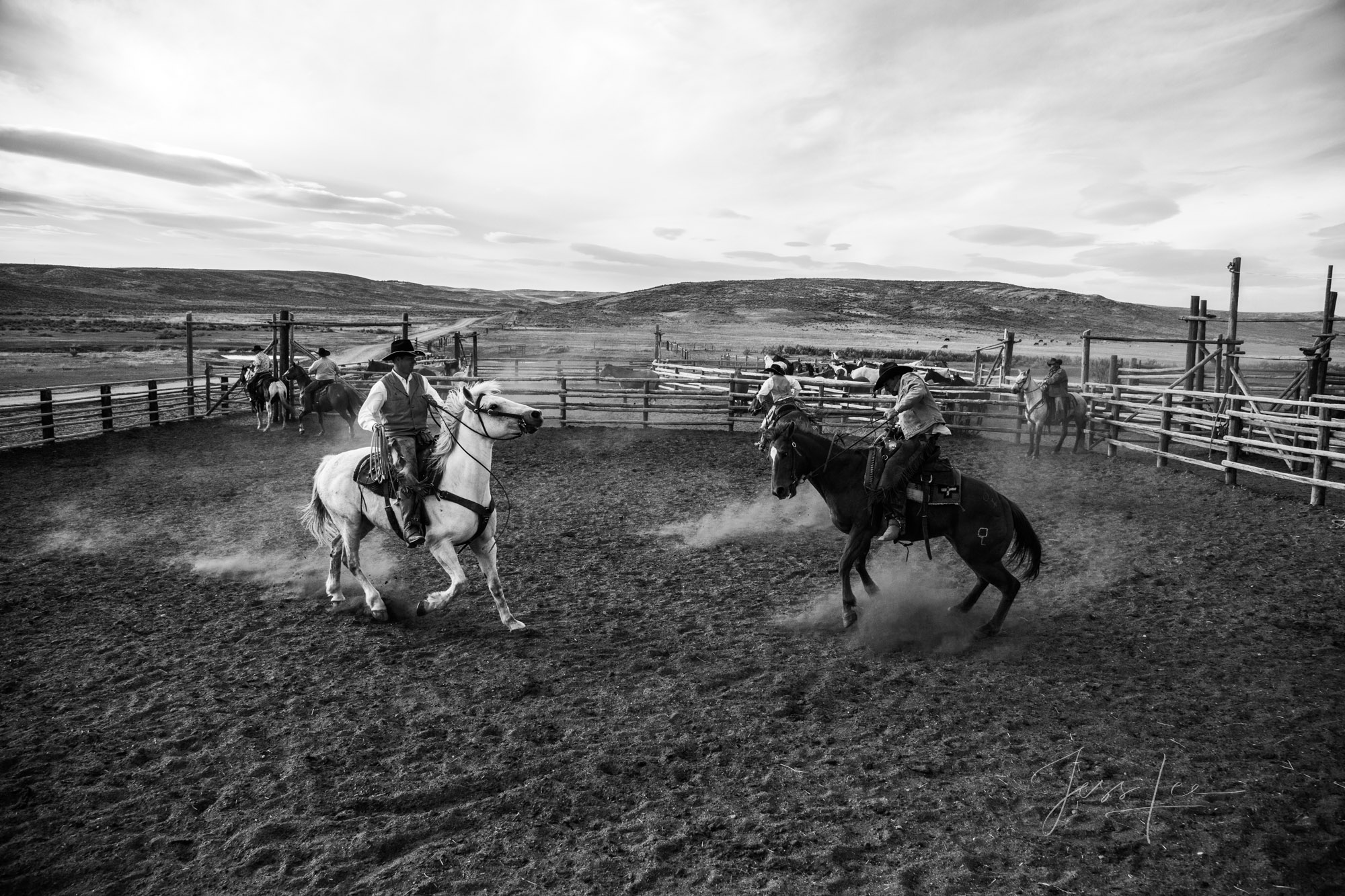 Fine Art Limited Edition Photo Prints of Cowboys, Horses, and life in the West. Fancy Stepper. A Cowboy picture in black and...