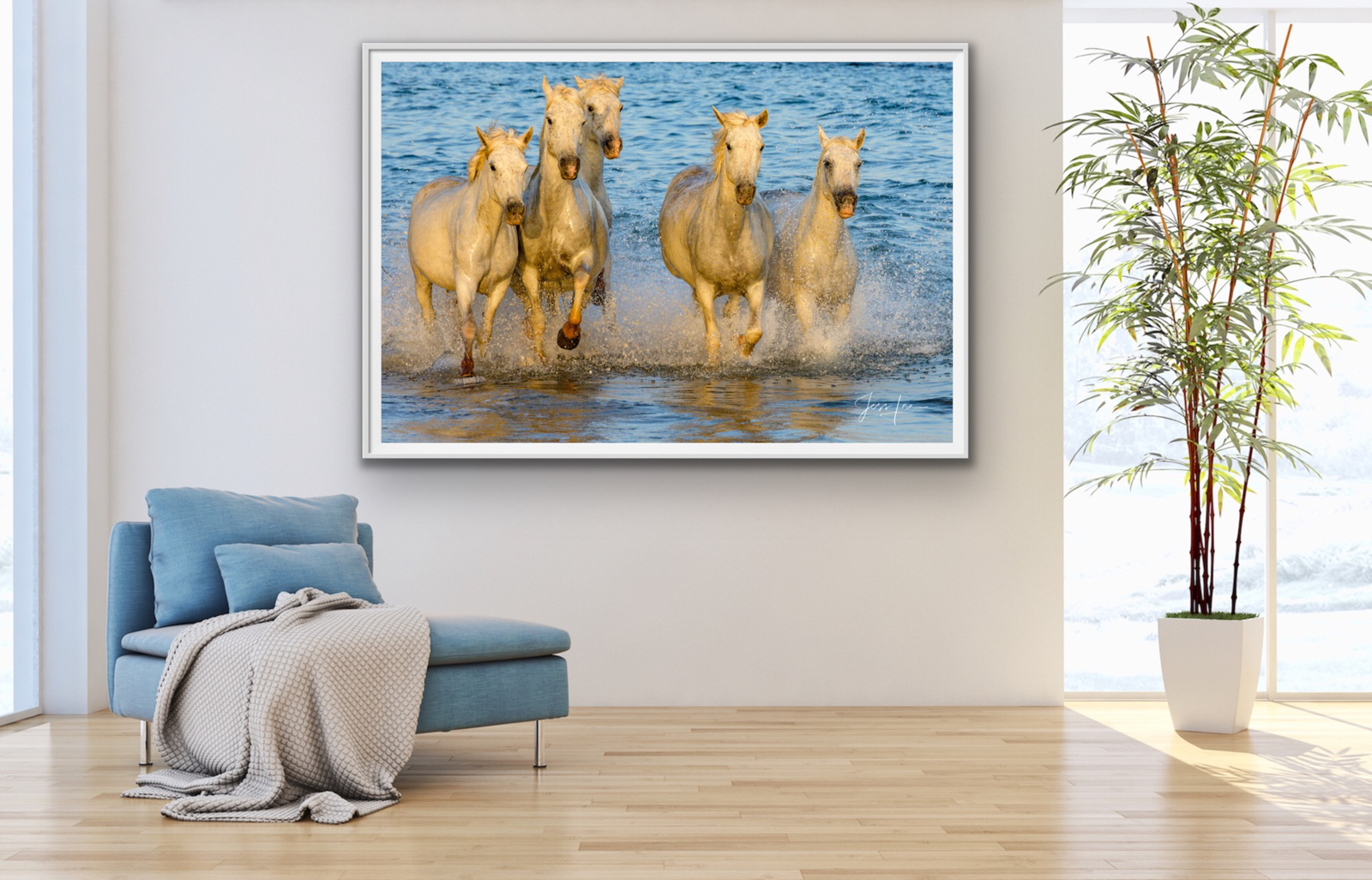 White Horses Wall Art Prints Horse Photography Prints. Pictures are available as Acrylic, Metal, Canvas, or Fine Art Paper limited edition wall art prints...